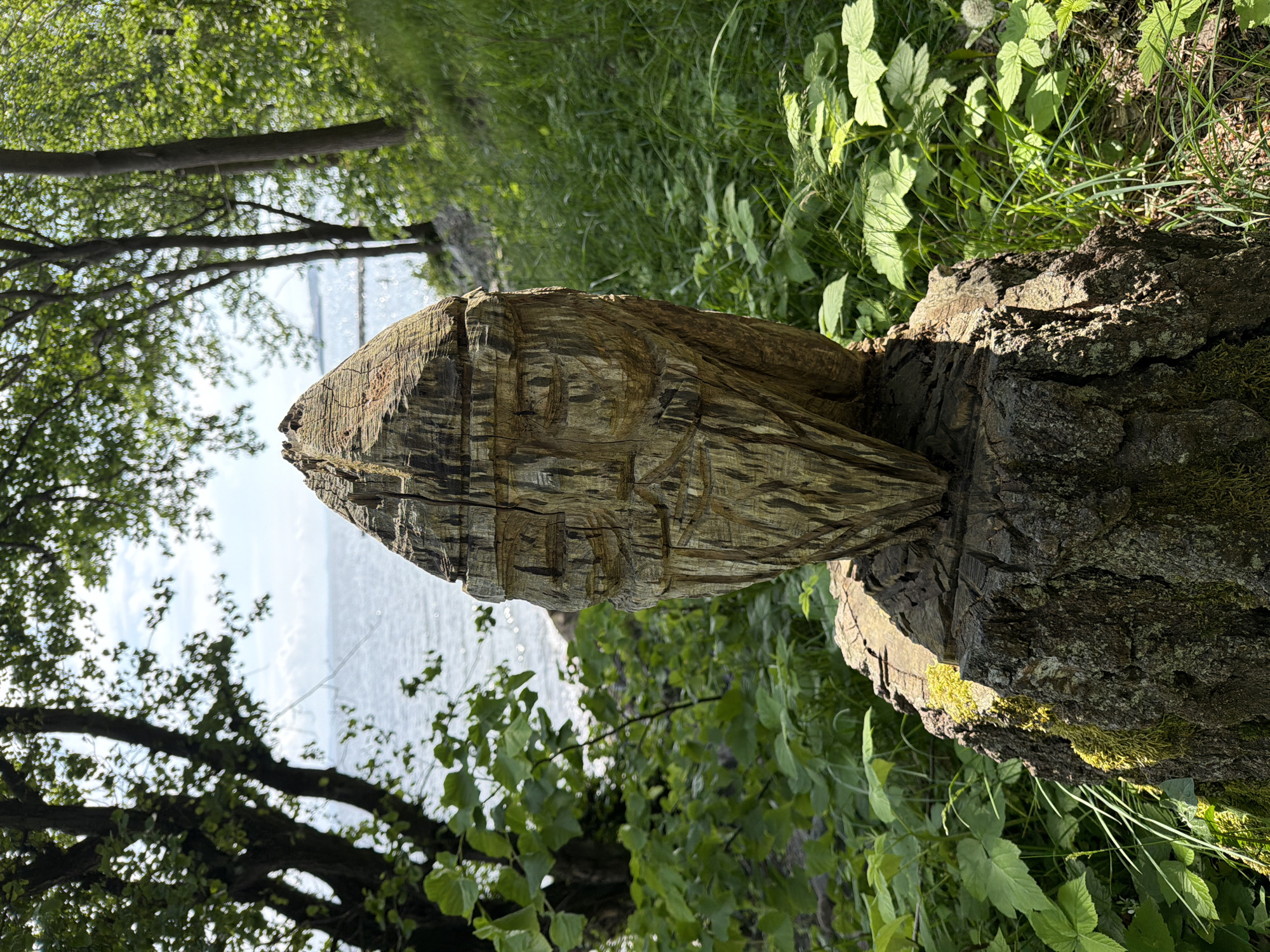 A wooden sculpture depicting a stylized, bearded face with closed eyes is prominently displayed on a moss-covered tree stump in an outdoor, natural environment. The sculpture, carved from a single piece of light brown wood, exhibits rough hewn surfaces and distinct tool marks, particularly defining the eyes, nose, mouth, and beard. It tapers upwards to a pointed crown. The dark brown tree stump serving as its base shows cracked surfaces and patches of vibrant green moss, particularly on its side facing the light.
The scene is dominated by lush green vegetation. Broad-leafed plants, possibly wild raspberries, and tall grasses grow densely around the stump and sculpture, extending into the midground and background. Sunlight filters through the overhead canopy, creating dappled light and shadows across the foliage and the sculpture.
In the background, a calm body of water, characteristic of the Oslofjord, stretches horizontally under a bright sky with scattered clouds. The water's surface reflects the sunlight, creating shimmering highlights. Distant land or structures, possibly a bridge or pier, are faintly visible across the water. Several trees with leafy canopies frame the left and right sides of the image, contributing to the natural, wooded setting. No people or human activity are visible. This location is identified as being within the city of Horten, Norway.