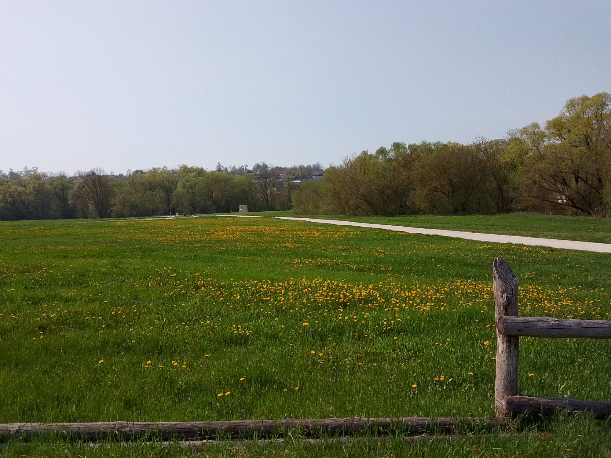 The image shows a field of green grass dotted with yellow wildflowers, likely dandelions. A paved path cuts through the field, leading towards a treeline in the distance. In the foreground, a weathered wooden fence runs along the bottom of the frame and extends up the right side. A building or structure is slightly visible behind trees in the background. The sky is clear and pale. It is not possible to determine the exact location in the city of Каменка, Russia from the image.