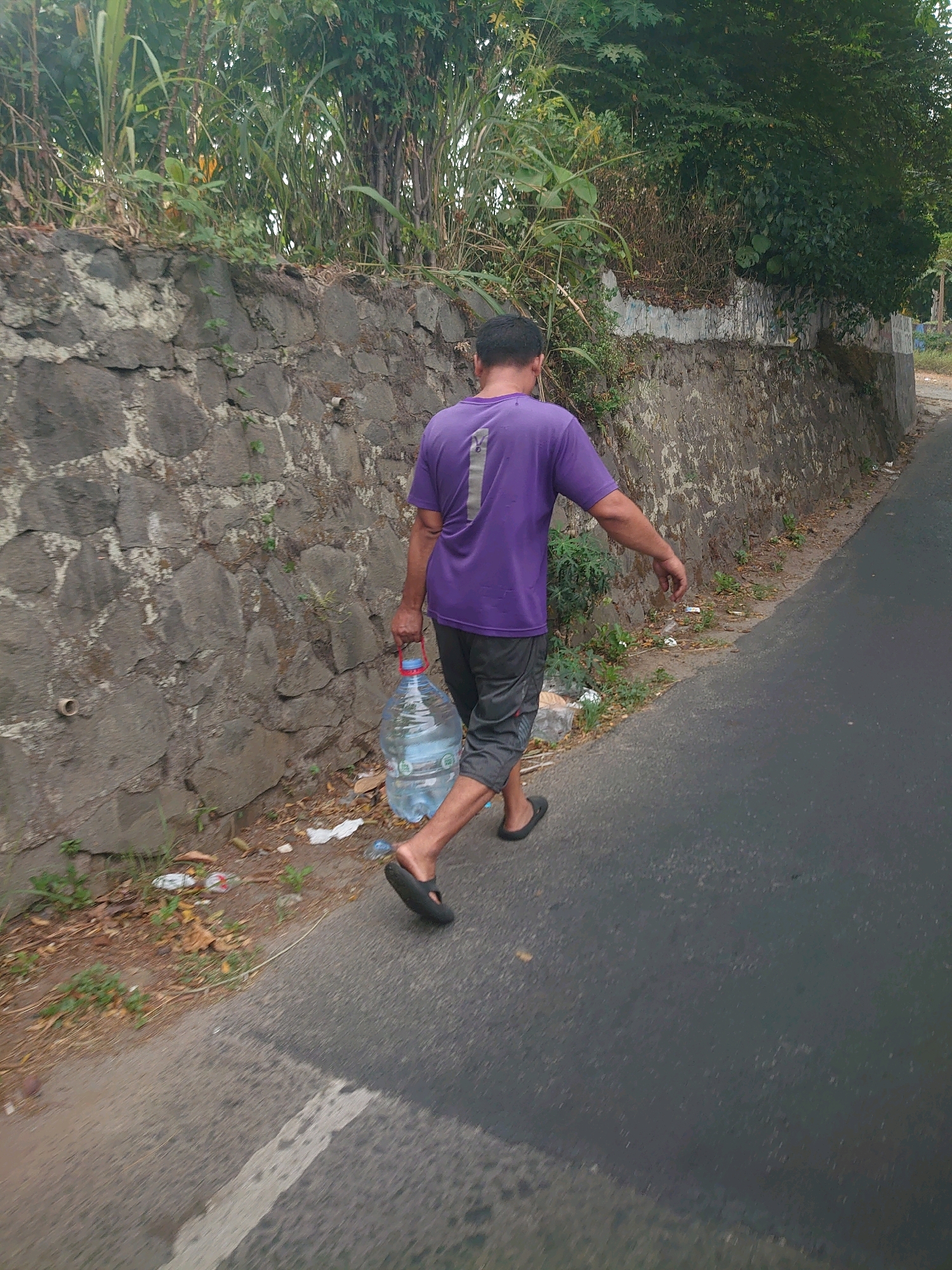 A man in a purple t-shirt and dark shorts walks along a paved road on the right side of the frame. He is carrying a large, clear plastic water jug with a red handle in his right hand. The jug appears to be full. The road is bordered on the left by a rough stone wall covered in moss and vegetation. Beyond the wall, dense green foliage and trees are visible. The ground to the left of the wall and along the edge of the road is covered with dry leaves, small plants, and scattered litter. The scene appears to be a typical street in a suburban or rural area of Depok, Indonesia, likely on a sunny day given the lighting.