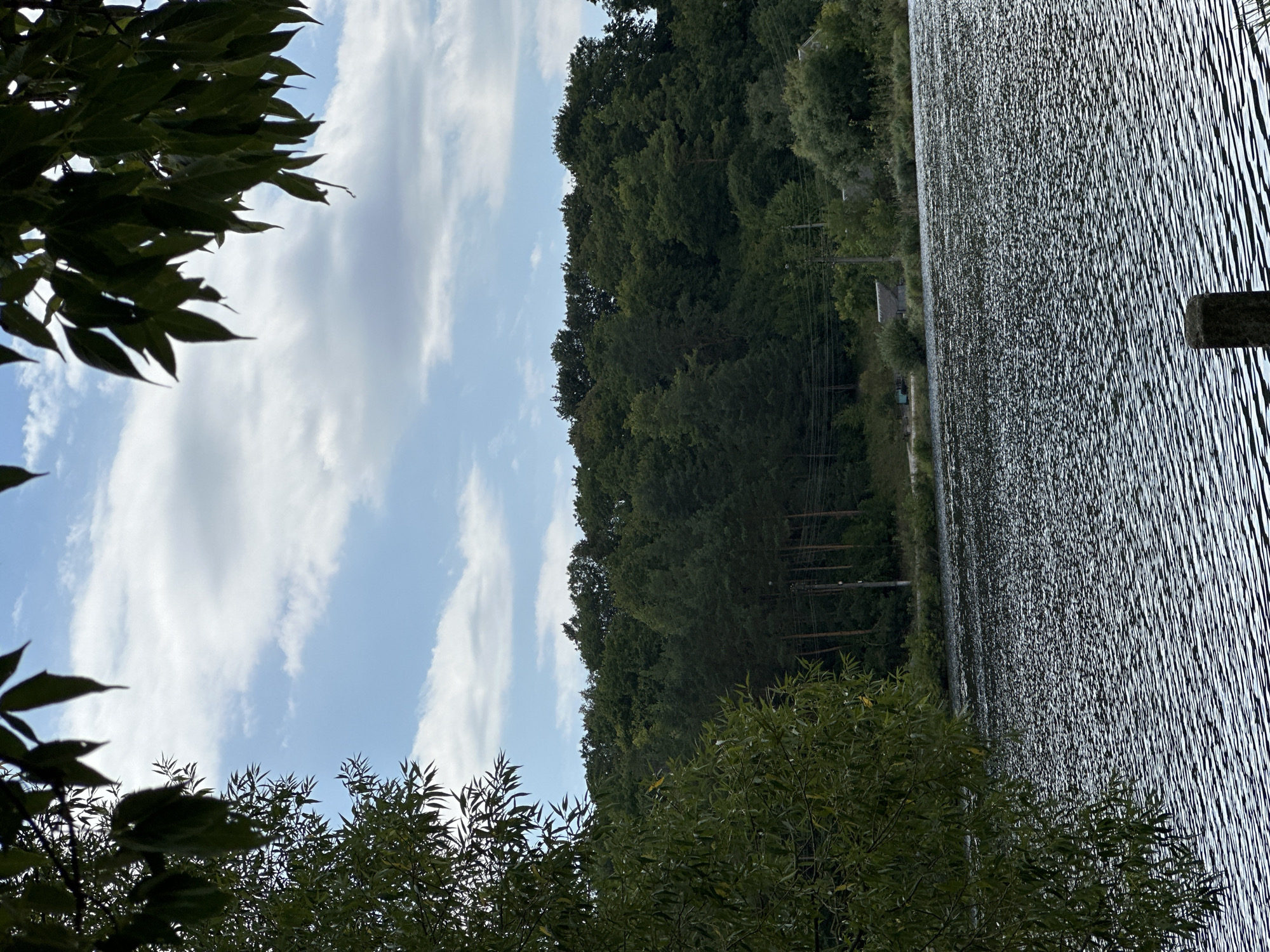 The image depicts a tranquil natural scene by a body of water, likely a lake or river. In the foreground, the water's surface is textured with numerous small ripples, reflecting the light and creating a shimmering effect. On the left side of the frame, the branches and leaves of a leafy tree partially obscure the view. Beyond the water, a dense forest covers a hillside, its trees varying in shades of green. The sky above is a mix of blue and white clouds. A few man-made structures, possibly small buildings or sheds, are visible nestled amongst the trees along the shoreline. Utility poles and wires can be seen within the treeline, suggesting the proximity of infrastructure. The overall impression is one of a serene, natural landscape with subtle hints of human presence.