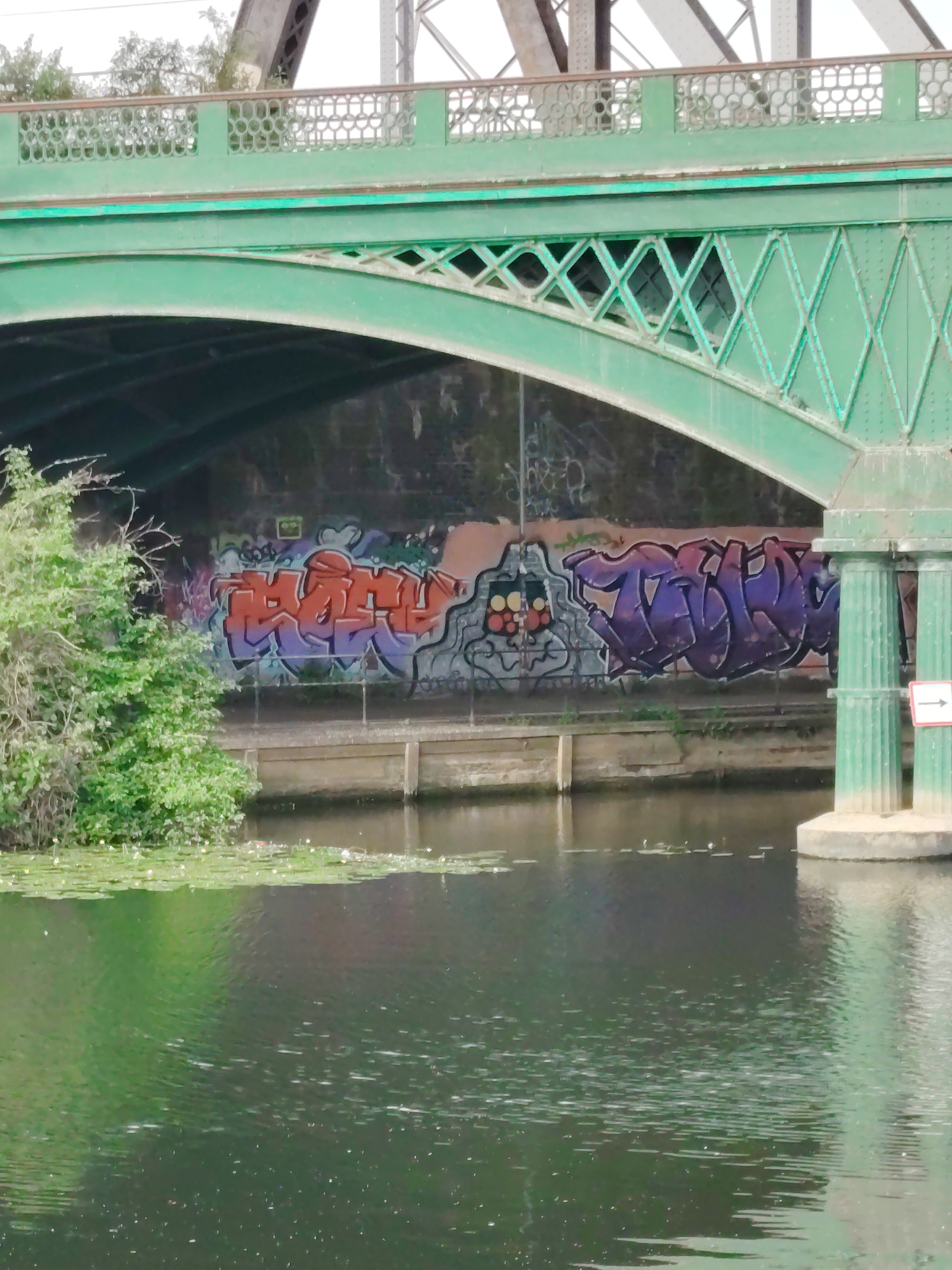 This image captures a section of a green-painted metal arched bridge crossing a body of water, located in Peterborough, United Kingdom. The bridge features an upper railing with a repeating oval or circular pattern and a lower structural element adorned with a diamond-shaped lattice design. Above and behind the main green bridge, sections of a larger, light grey metal truss bridge are visible against an overcast sky.
Below the arch of the green bridge, a concrete or stone embankment wall is extensively covered with graffiti. On the left, a large piece in red and purple lettering is partially obscured by dense, bright green foliage growing on the bank. To its right, another prominent piece in purple lettering is visible. Numerous smaller tags and markings populate the surrounding wall surface. A lower wooden or concrete retaining wall lines the immediate edge of the water.
The water, dark green and reflective, shows surface ripples and the presence of numerous green lily pads or similar aquatic plants, some with small white floral elements. On the right side, a substantial, fluted green-painted bridge pier with a concrete base emerges from the water, supporting the bridge structure. A white rectangular sign with a black right-pointing arrow is affixed to this pier. No people are present in the depicted scene.