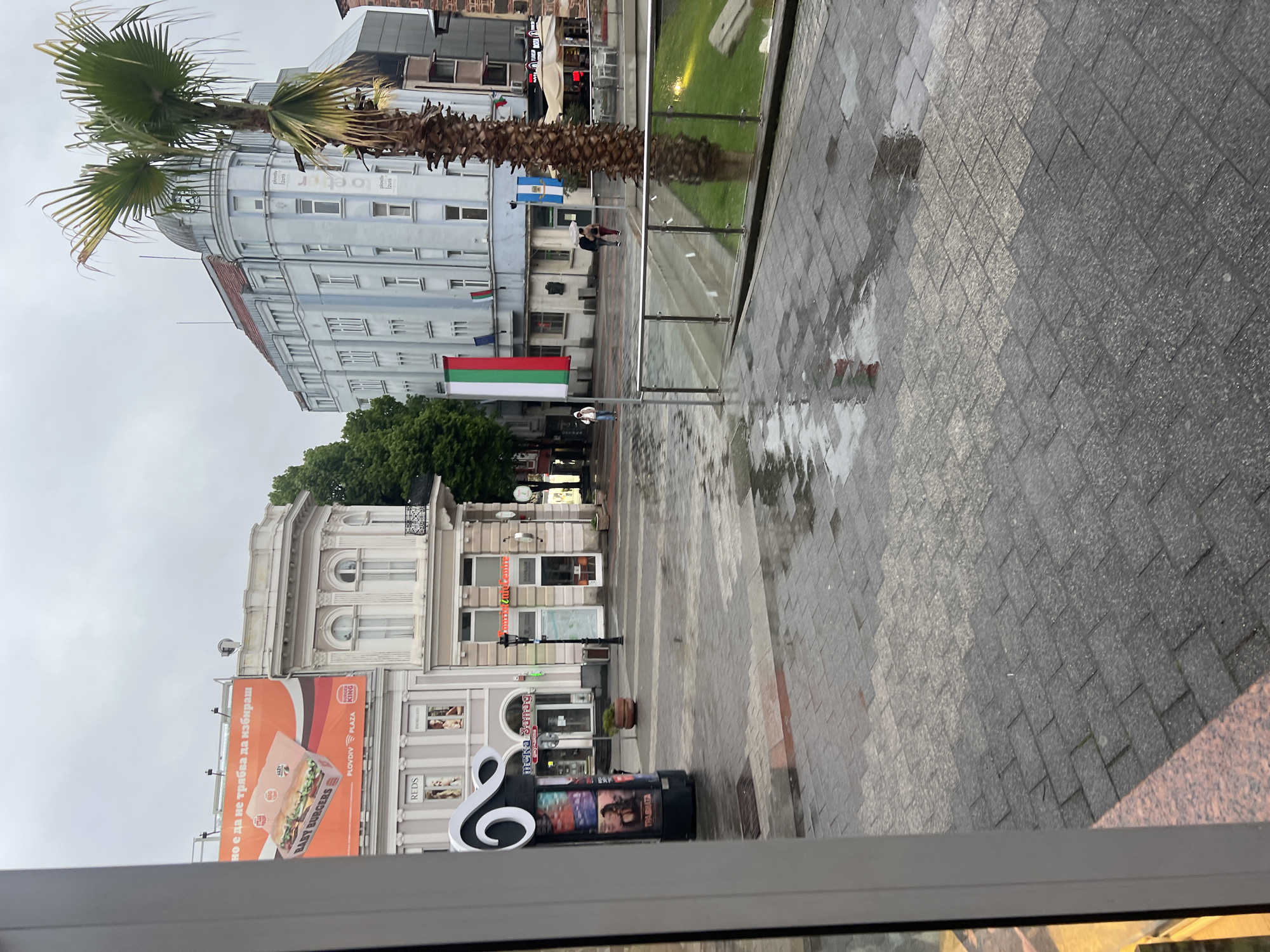 The image captures an overcast daytime scene in a city, specifically Plovdiv, Bulgaria, following recent rain as indicated by the wet, paved street and visible puddles. The perspective is slightly elevated, possibly from a window, looking out onto a pedestrian area flanked by buildings.
In the foreground, the grey tiled pavement is slick with water, reflecting the grey sky and parts of the surrounding architecture. A glass barrier separates the immediate viewing area from the main pedestrian space. To the left, large palm trees with long, spiky fronds stand prominently, their trunks visible against the buildings.
Several multi-story buildings line the street. One distinctive building on the left has a light blue facade and a rounded corner topped with a dome. Further along, a more classically styled white building features arched windows and decorative elements. A vibrant Bulgarian flag (white, green, red) is displayed on a pole in the middle ground, adding a splash of color to the muted palette.
A few individuals are visible walking in the distance, but no specific activity is clearly discernible. Advertising billboards and signs are present: a large Burger King advertisement features "BABY BURGERS" and the text "но е да не трябва да избираш" (but you don't have to choose), along with "PLOVDIV PLAZA" and the Burger King logo. Other visible text includes "REDS" on a building, "TRAJBHATA" (ТРАЙБХАТА) on a kiosk-like structure, and "тека запаg" (likely "Река Запад") on another storefront. The overall atmosphere is quiet and somewhat subdued due to the weather.