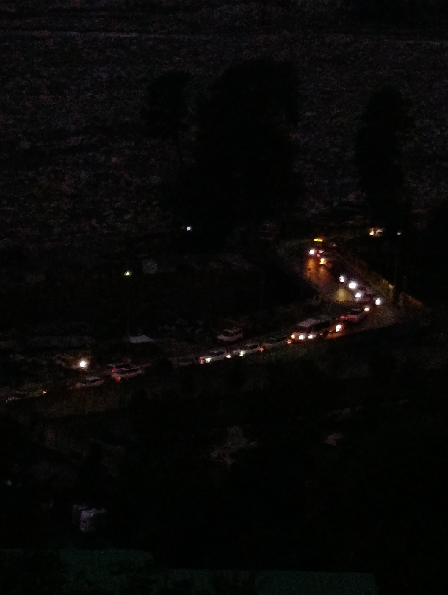 The image is a night scene in Vashisht, India, showing a dark, winding road with several vehicles. The vehicles appear to be stationary or moving slowly, with their headlights and taillights illuminated, casting a warm glow on the asphalt. The road is bordered by dark, indistinct foliage and trees, with a few scattered lights visible in the background, possibly from houses or streetlights. The overall impression is one of a quiet, rural or suburban night on a less-trafficked road.