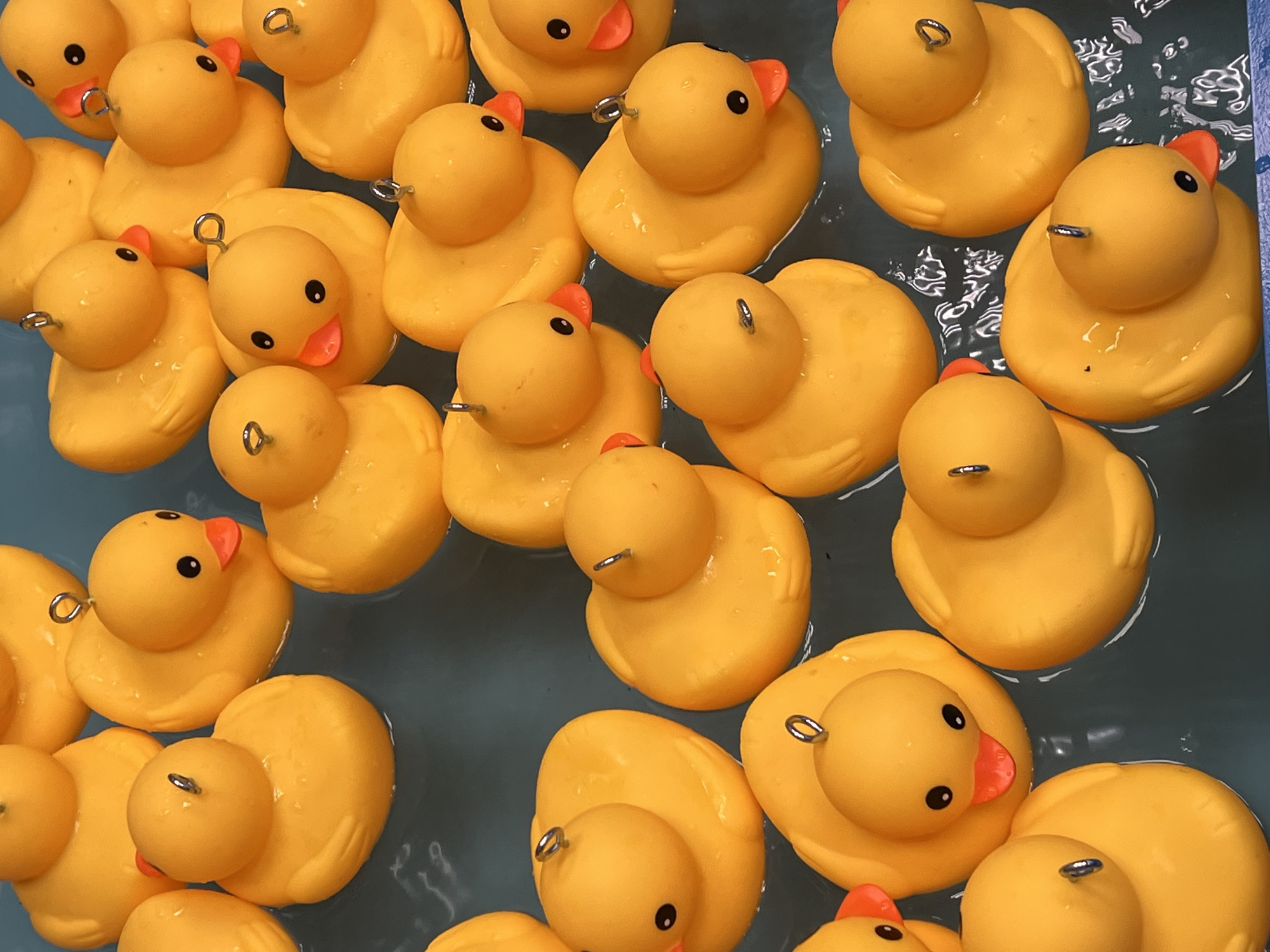 The image depicts a large group of yellow rubber ducks floating in a body of water. All the ducks are facing upward, and each has a metal ring attached to the top of its head. The ducks are tightly packed together, filling most of the frame. The water appears slightly murky. There is no information in the image to indicate the city of Cherepovets, Russia.