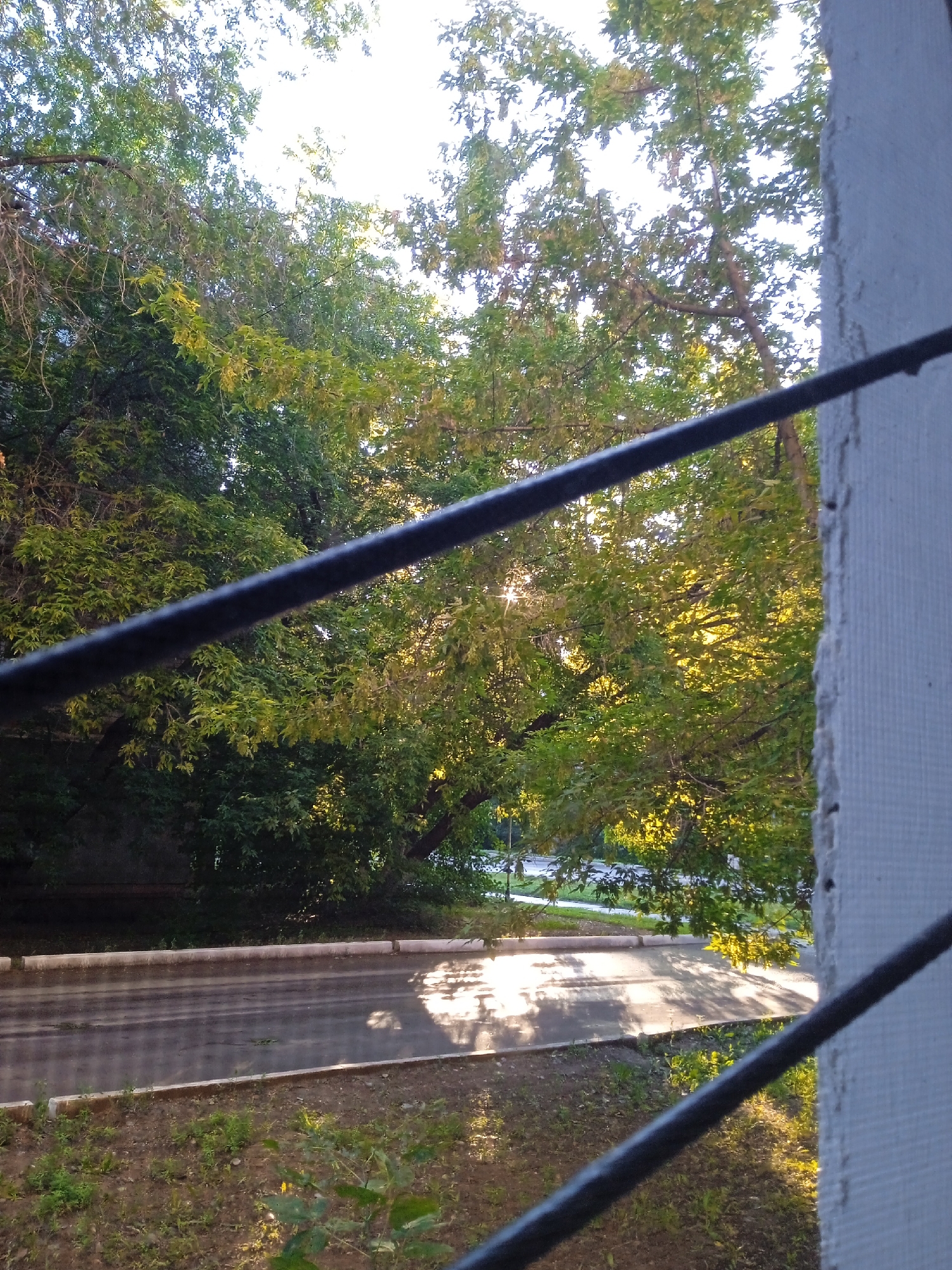 This image depicts a view through a window, possibly on a balcony or in a room, looking out onto a street lined with trees. Two dark, horizontal bars, likely part of the window grate or screen, partially obstruct the view. The sun is shining brightly, casting dappled light and shadows on the asphalt road and surrounding grassy area. The trees are lush and green, with some leaves beginning to turn yellow, suggesting it might be late summer or early autumn. The street appears to be a residential street with no visible vehicles or pedestrians. The overall scene suggests a calm, everyday setting. The image was taken in the village of Pokatilov in Kazakhstan.