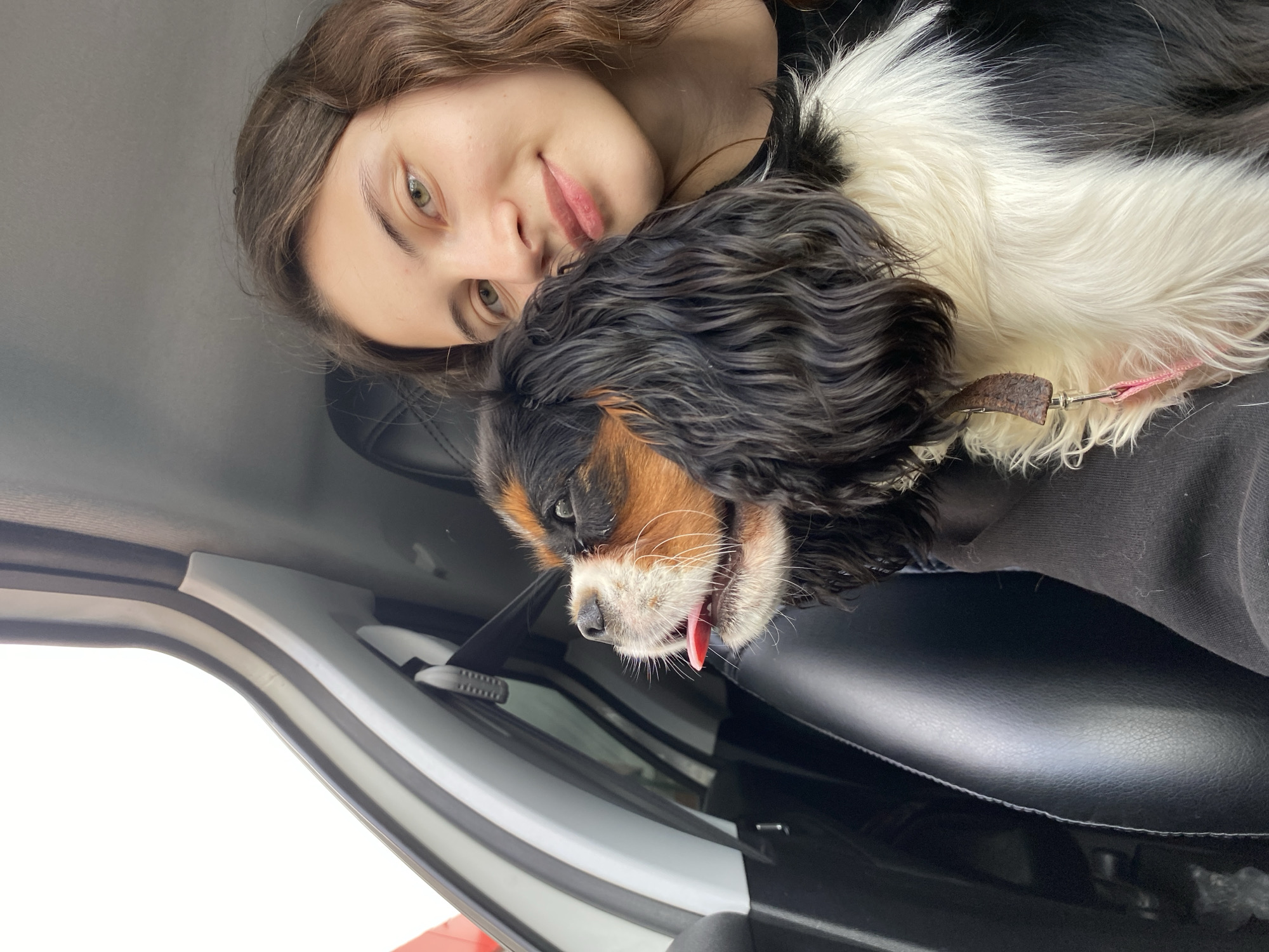 A woman with shoulder-length brown wavy hair and fair skin lies next to a tri-color Cavalier King Charles Spaniel. The dog has a black head, tan eyebrows and muzzle, and a white chest and neck. Its tongue is slightly protruding. A pink leash is attached to its collar. They are inside a car with black leather seats and a white door panel. The location is not ascertainable from the image.