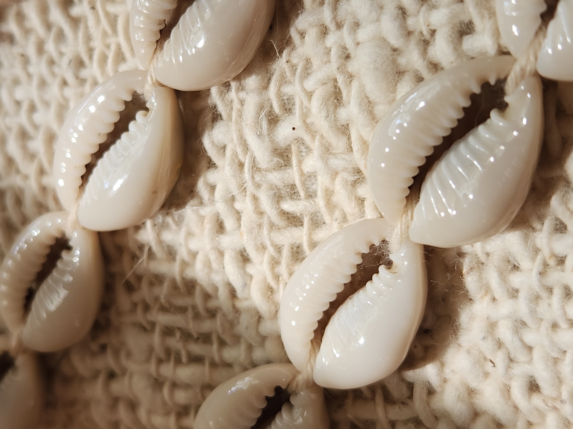 A close-up shot features a necklace made of white cowrie shells strung together. The shells are smooth and glossy, with intricate ridges along their openings. They are threaded onto a light-colored string, which is nestled against a textured, woven background that appears to be made of natural fibers like cotton or wool. The weave is thick and chunky, creating a rustic and handmade feel. The lighting highlights the sheen of the shells and the texture of the fabric. The overall impression is one of natural beauty and artisanal craftsmanship. The setting is a close-up view of the necklace, with no other objects or people visible. There are no discernible cues for time of day or weather, and the location context of Maitland, United States of America is not visually represented in the image. No text is visible.