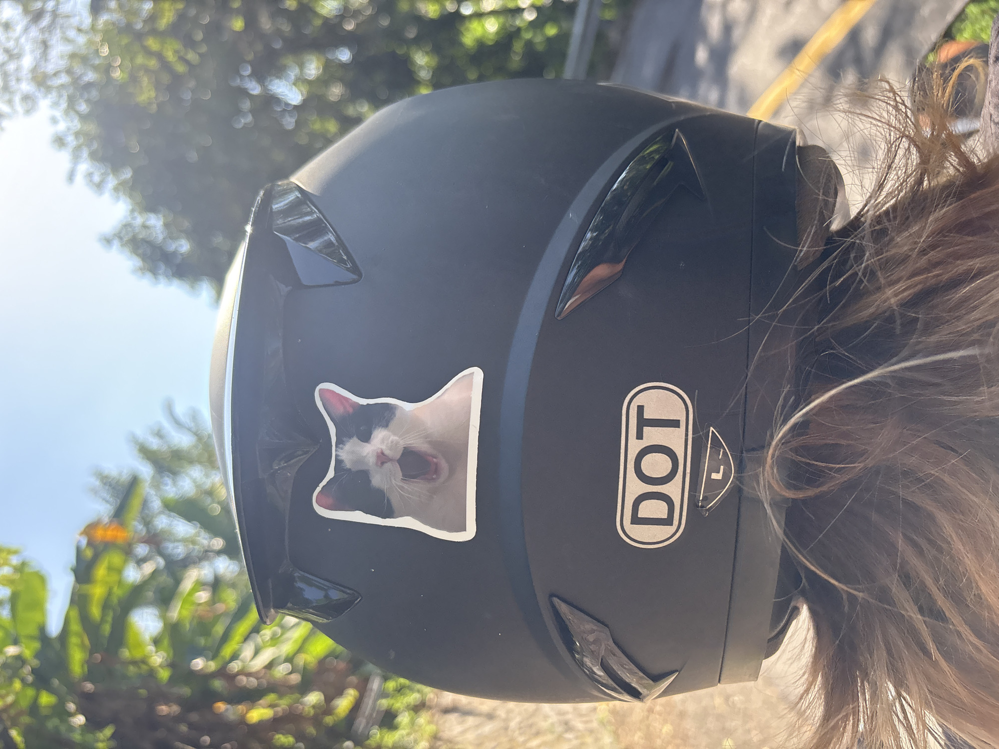 A close-up rear view captures a black motorcycle helmet with a sticker of a yawning black and white cat on its back. Below the cat sticker, a white oval sticker with the letters "DOT" is affixed. A smaller "L" symbol sticker is centered below the "DOT" sticker. The helmet rests on the head of a person whose brown hair is visible around the lower edge. The background is blurred, showing sunlight filtering through green trees and a bright blue sky, suggesting an outdoor environment. The scene appears to be on a paved road with a yellow line marking visible on the right side. There is no specific indication of Karangasem, Indonesia, in the image.