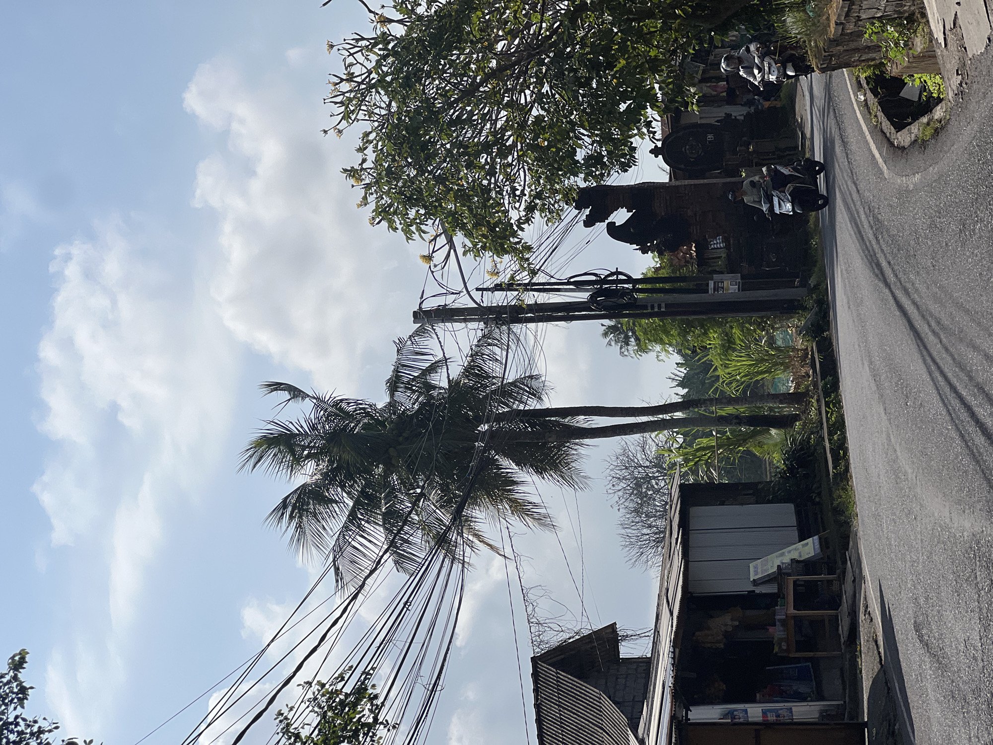This is a street scene in Denpasar, Indonesia, on a sunny day with a blue sky and scattered clouds. The road curves to the right. On the left side of the road, there is a small, open-air shop with a corrugated metal roof, displaying various items on shelves and a table. A palm tree with numerous power lines running through its fronds is visible behind the shop. Further down the road on the right, there is a decorative brick archway, possibly an entrance to a temple or compound, with two men riding scooters approaching. A large tree with green foliage and yellow flowers stands to the right of the archway. Lush green vegetation, including what appears to be sugar cane, lines the right side of the road behind the archway and scooter riders. The scene depicts daily life on a street in Denpasar.