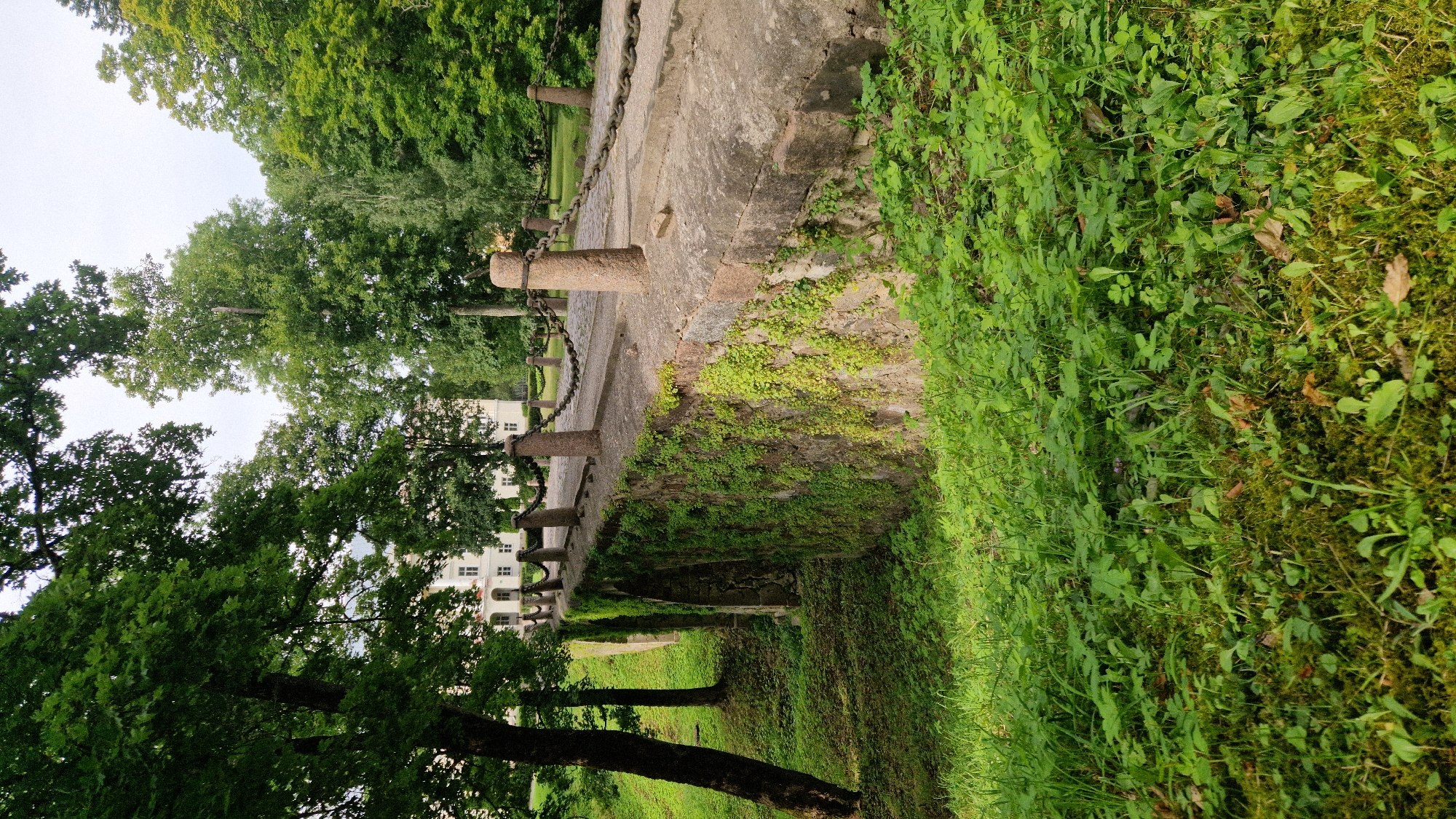 An outdoor, slightly overcast, eye-level medium shot captures an old stone bridge overgrown with ivy, connecting to a path in front of a stately white building. The bridge's stone pillars are topped with ropes or chains, and a stone wall forms its base, covered in vibrant green moss and ivy. Lush green grass and trees fill the foreground and the background. The white building in the background, visible through the trees, features a symmetrical design with multiple windows and a red-tiled roof. This scene is located in the Kazdanga municipality of Latvia, likely within the grounds of the Kazdanga Manor.