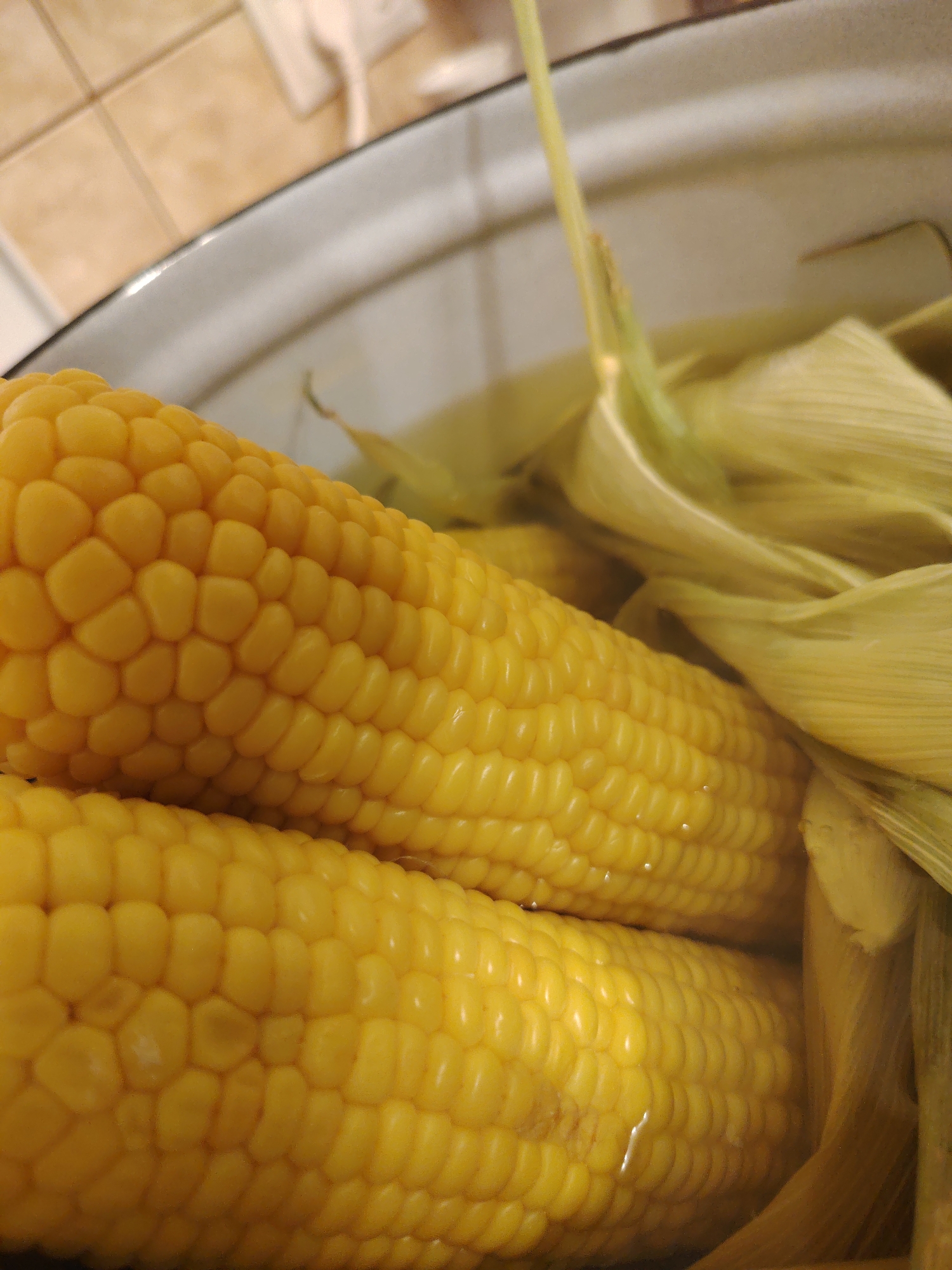 Two ears of corn are submerged in water in a pot. The corn is bright yellow, and the kernels are plump and well-defined. The husks of the corn are light green and appear to be partially removed. The pot is white with a metallic rim. The background shows a tiled surface, possibly a kitchen backsplash, in muted brown and beige tones. The overall scene suggests food preparation, likely for cooking or boiling corn. This image was taken in Konakovo, Russia.