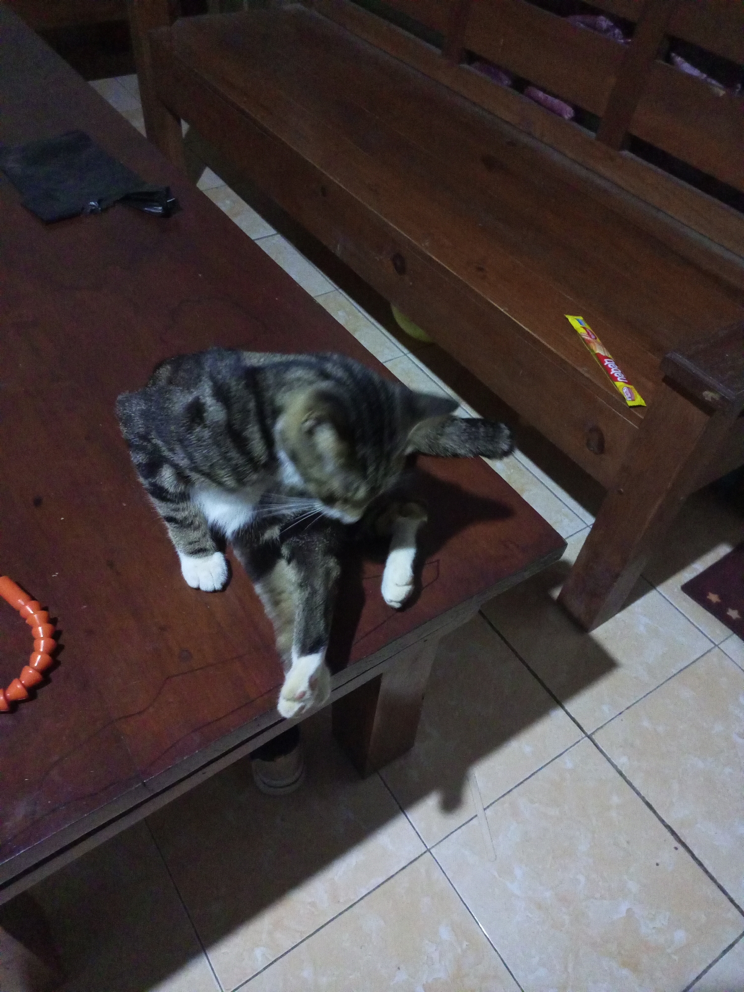 A tabby cat is grooming itself on a dark brown wooden table. The cat has black and brown stripes and white paws. To the left of the cat, an orange, segmented tube lies on the table. Behind the table is a dark wooden bench with slats. A yellow and red wrapper is visible on the bench. The scene is indoors, with tiled flooring visible in the background.