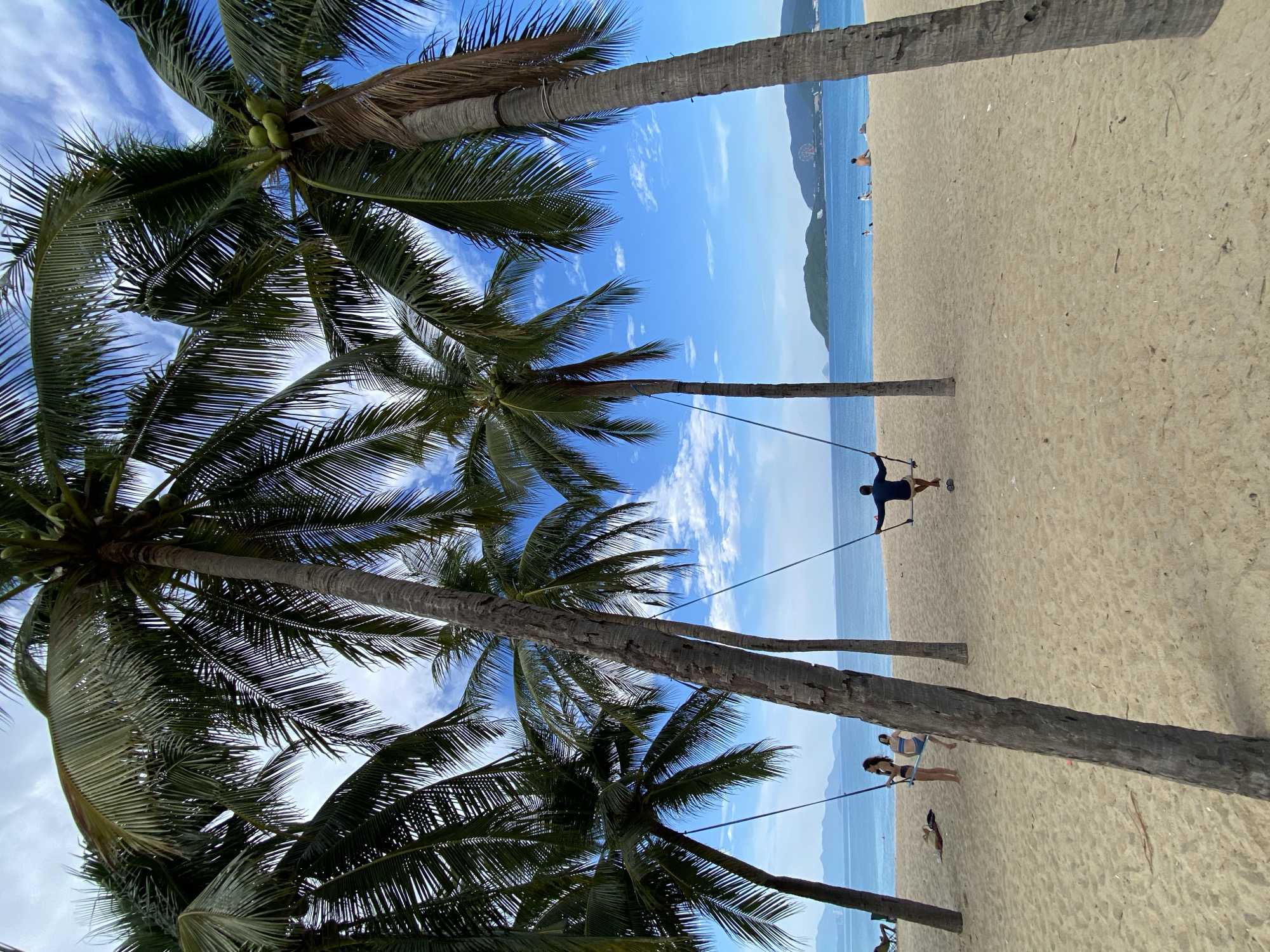 The image depicts a beach scene with palm trees framing the view. In the foreground, several palm trees with lush green fronds dominate the frame, their trunks stretching upwards towards a bright blue sky dotted with white clouds. Coconuts are visible on one of the palm trees.
In the middle ground, a sandy beach stretches towards the ocean. A man is seen on a swing suspended between two palm trees, his arms outstretched. Further down the beach, a woman in a bikini stands near another swing. A few other people are scattered on the beach in the distance. The ocean is a calm blue, meeting a distant shoreline with hills.
The lighting suggests it is daytime, likely late morning or early afternoon, with clear, sunny weather. The presence of palm trees and the tropical setting strongly indicate a warm climate, consistent with a location like Nha Trang, Vietnam. The overall mood is relaxed and leisurely, with people enjoying a day at the beach. No visible text is present in the image.