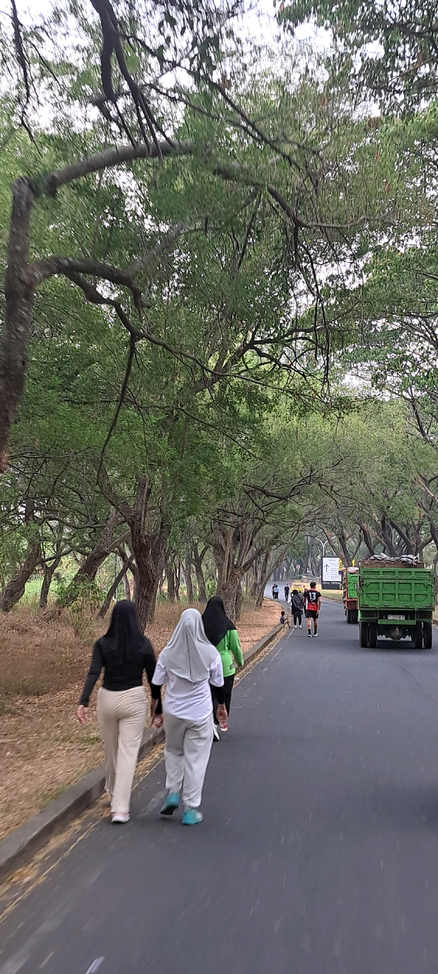In Bulukandang, Indonesia, three women walk away from the camera on a paved road lined with trees. The woman in the foreground on the left wears a black long-sleeved shirt and tan pants. Next to her, a woman in a white hijab and white long-sleeved shirt walks with a person in a green hijab and green long-sleeved shirt behind her. The road is flanked by dry, brown foliage and a curb on the left. Further down the road, other people are visible, including two men running and a person sitting on the side of the road. A green dump truck is parked on the right side of the road, with a yellow car and another truck further ahead. Overhead, the branches of large trees create a canopy over the road, with the sky visible through the leaves.