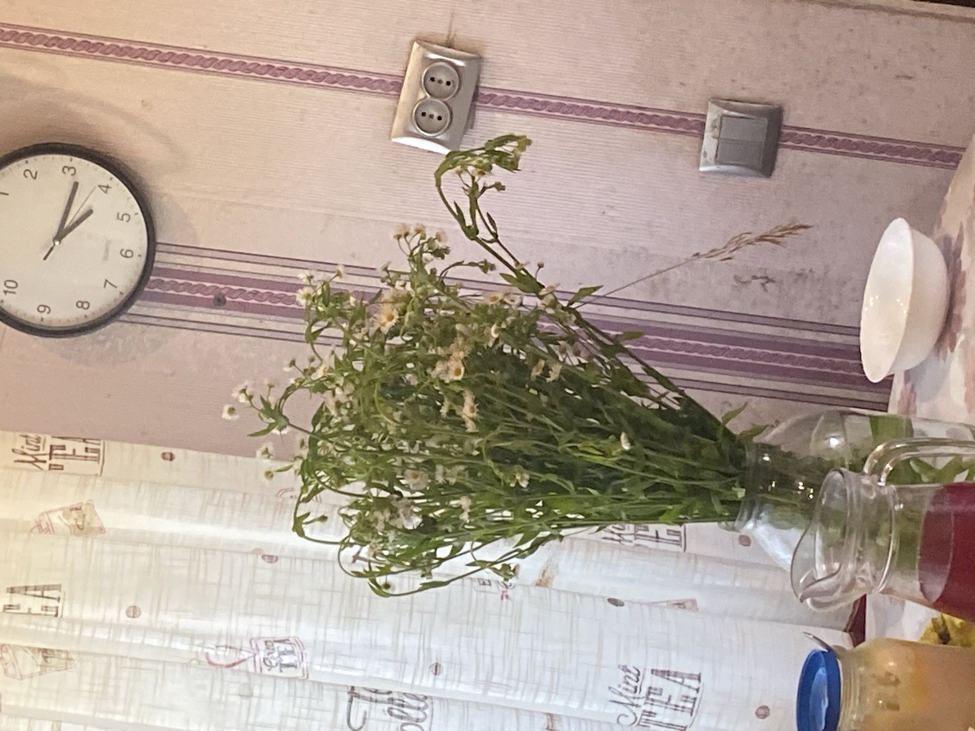 The image shows an indoor still life arrangement. In the background, a wall with purple striped wallpaper is visible, adorned with two electrical outlets and a light switch. A round analog clock is mounted on the wall, its face displaying numbers from 1 to 12 and its hands pointing to approximately 1:10. In the foreground, a bouquet of delicate white wildflowers with green stems is placed in a glass vase. Beside the vase, a glass pitcher filled with a red liquid and another glass container with a yellow substance are visible. The foreground also features a white curtain with a repeating pattern of text that includes the words "Mint" and "Tea," along with illustrations of teacups. The overall scene suggests a domestic setting, possibly a kitchen or dining area. There is no indication of the time of day, weather, or specific emotions. The only visible text besides the decorative elements on the curtain is the numbering on the clock. The location context is Vvedenka, Ukraine.
