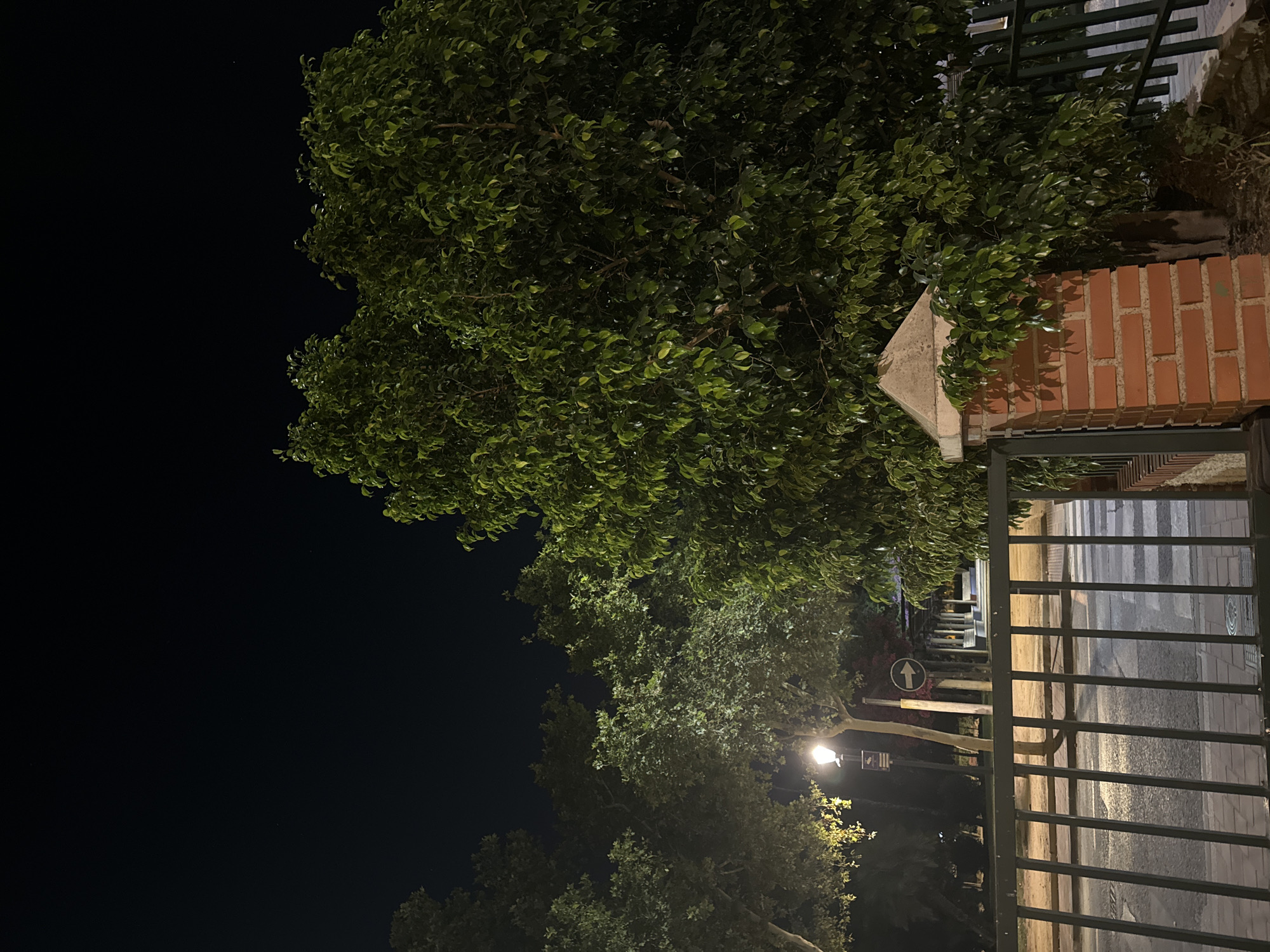 The image depicts a street scene at night, illuminated by a street lamp. In the foreground, a dark metal gate runs horizontally across the frame. To the right of the gate is a brick pillar topped with a concrete cap, from which a dense green tree with small leaves extends. Behind the gate, a paved area, possibly a sidewalk or plaza, is visible, with a crosswalk marked by white stripes. Beyond the paved area, there are more trees, some of which are also illuminated by the street lamp. Further in the background, a pathway leads to a structure with columns. The sky is dark and clear, with a few faint stars visible. The scene appears to be an outdoor public space, likely a park or a plaza, in a city. The presence of a street lamp and the architectural elements suggest an urban environment. The lighting conditions indicate it is nighttime.
The location is identified as the Jardín de Floridablanca in the city of Murcia, Spain. This is evidenced by the distinctive lampposts, pedestrian pathway, and overall layout characteristic of this well-known Murcian garden. The specific area captured is near the northern entrance of the garden, close to the intersection of Avenida de la Libertad and Calle del Pintor Villacís.