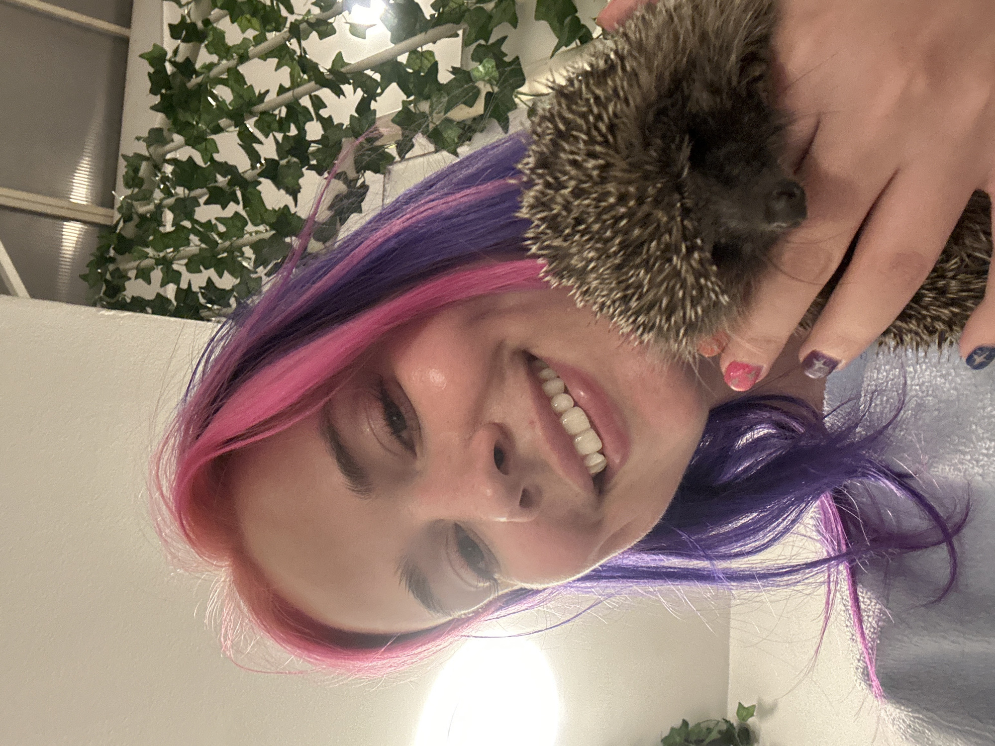 A young woman with pink and purple hair holds a hedgehog in her hands. She is smiling and looking at the camera. Behind her, there is a white wall with some greenery hanging from the ceiling. The location is unknown.
