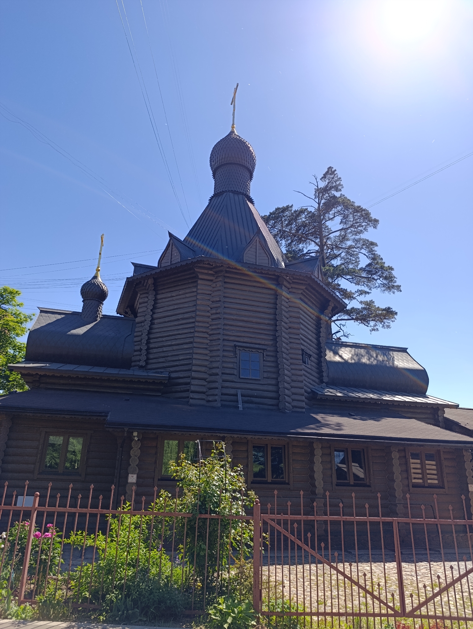 The image displays the exterior of the Church of the Icon of the Mother of God "Joy of All Who Sorrow" at the Botkin Hospital, situated on 2nd Botkinsky proezd, Moscow, Russia. The church is a dark brown, multi-tiered wooden structure constructed from horizontally stacked logs. It features a prominent central onion-shaped dome and a smaller, identical dome on a lower roof section to the left, both topped with golden Orthodox crosses. The dark-colored roofs exhibit various slopes and curves. Multiple rectangular windows with dark frames are visible on the lower and middle levels of the log walls. A tall, coniferous tree rises behind the church, partially visible against the sky. In the foreground, a reddish-brown metal fence with pointed finials extends horizontally, behind which green foliage and scattered pink flowers are present. The scene is illuminated by direct sunlight under a clear blue sky, with faint utility lines visible in the upper sections and a sunflare in the upper right corner.