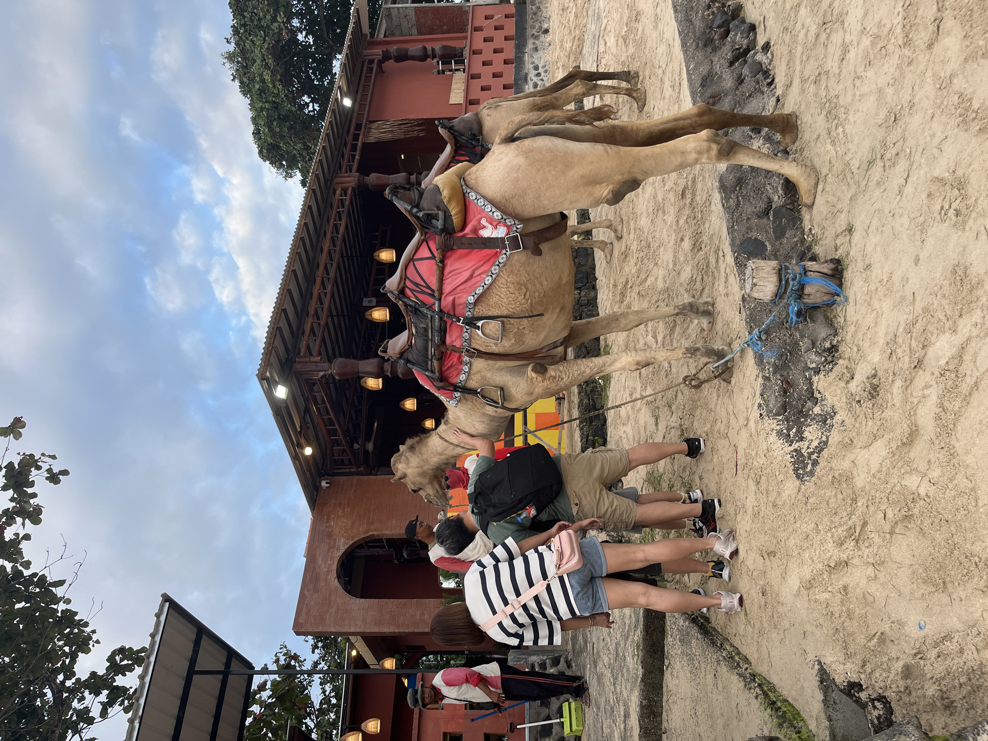 A group of people, some wearing casual clothing and others in work attire, are gathered on a sandy area near a camel ride attraction in Kuta, Indonesia. A man in a red and white shirt and a black baseball cap is interacting with a camel that is fitted with a red saddle. Another man in a similar red and white shirt and a bucket hat is standing in the background with a broom and a green dustpan. Two women in striped shirts and shorts are also present, one with a pink purse. The environment features a building with a corrugated metal roof and brick accents, along with outdoor lighting fixtures. The ground is a mixture of sand and stone. In the background, another camel can be seen. The sky is partly cloudy.