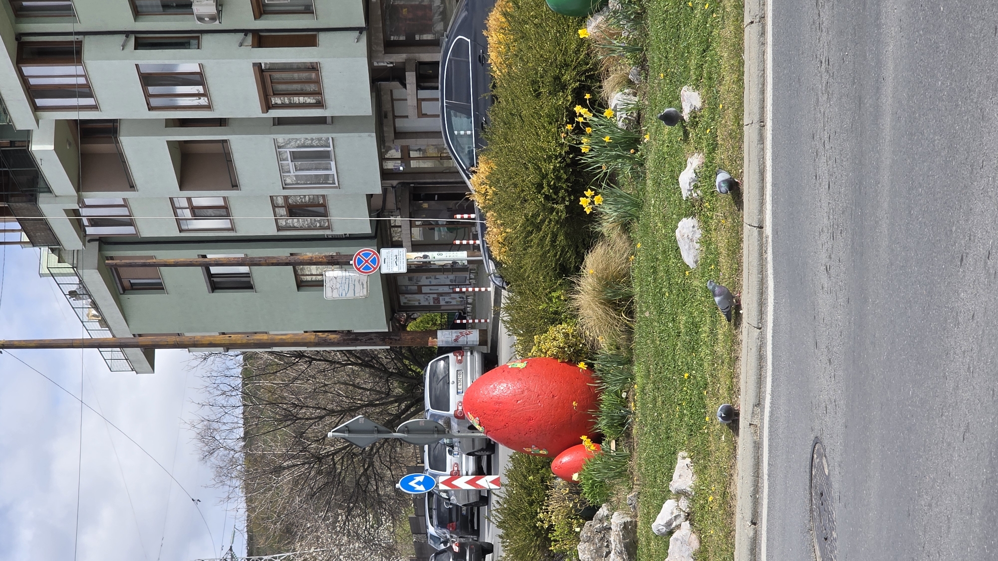 The image shows a street in Blagoevgrad, Bulgaria. On the left, there is a multi-story building with light green paint. A large red egg-shaped sculpture is visible in a grassy area alongside the road. Several pigeons are scattered on the grass near the curb. In the background, there are cars parked along the street and bare trees. The sky is lightly overcast. Traffic signs are visible. The scene appears to be a street-side display or public art installation.