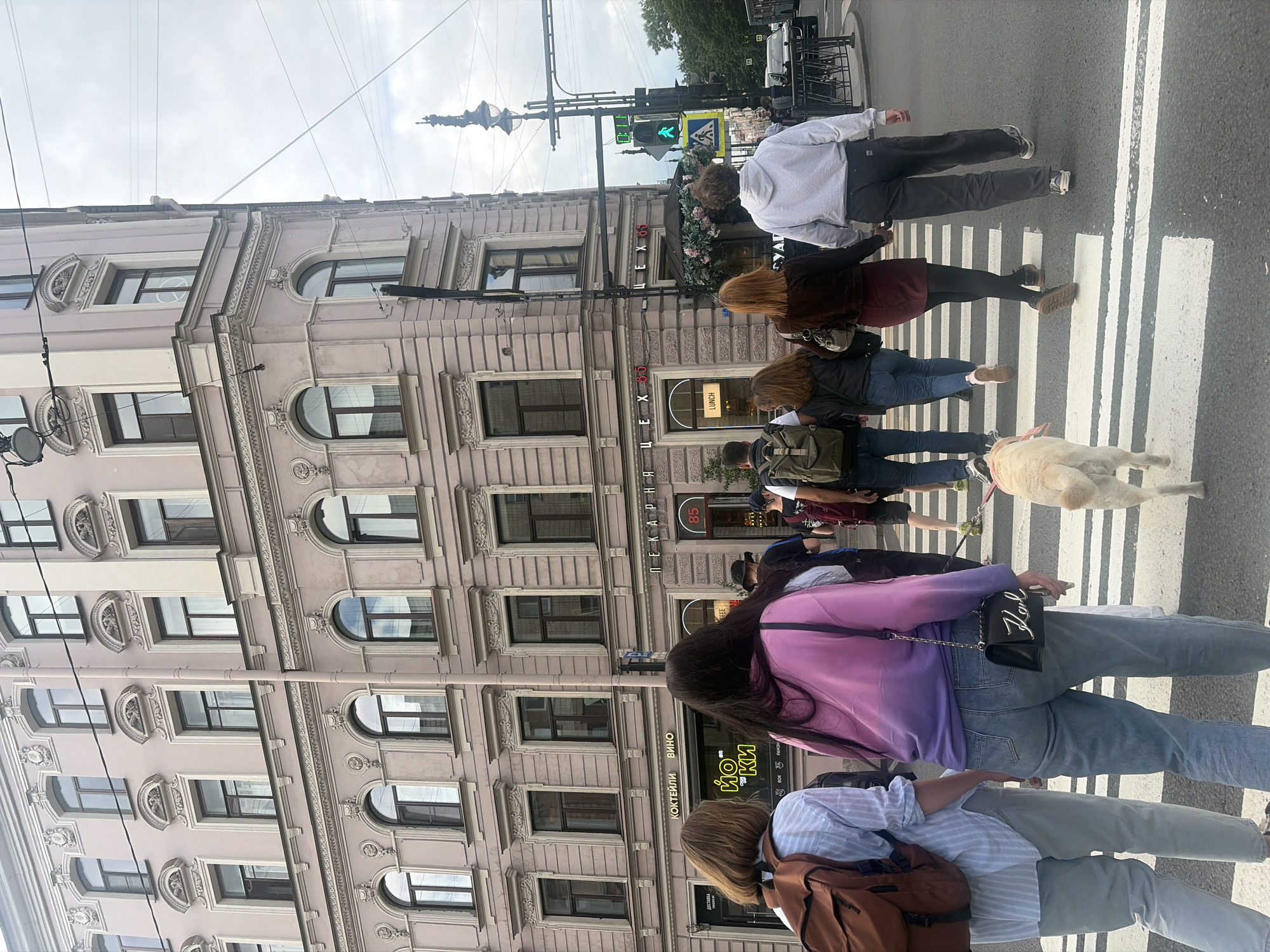 In Saint Petersburg, Russia, on a cloudy day, a group of individuals and a light-colored dog are crossing a pedestrian street. A cream-colored dog, walking with its rear facing the camera, is in the foreground on a white crosswalk. Behind the dog, several people are walking away from the camera and across the street. The first person on the left is wearing a light blue and white striped long-sleeved shirt and grey pants with a brown backpack. Next to them is a person with dark hair wearing a pink and purple gradient hooded sweatshirt and blue jeans, carrying a black purse with a silver chain and a white logo. To the right of these two, a person in a black jacket and blue jeans is walking, followed by a person with auburn hair wearing a dark brown jacket and a burgundy skirt and black tights. The furthest person on the right is wearing a light grey hooded sweatshirt and dark pants. They appear to be holding hands with the person in the burgundy skirt. Several other individuals are visible further back in the group, including one wearing a black hat and a person in a dark backpack. Behind the pedestrians is a large, ornate, light pink building with multiple stories and numerous windows. Signs in Russian are visible on the building, including "КОКТЕЙЛИ ВИНО" (Cocktails Wine) and "ПЕКАРНЯ" (Bakery). A streetlamp and traffic lights are visible in the background. The overall scene depicts a common urban street crossing with pedestrians, a dog, and architectural elements characteristic of Saint Petersburg.