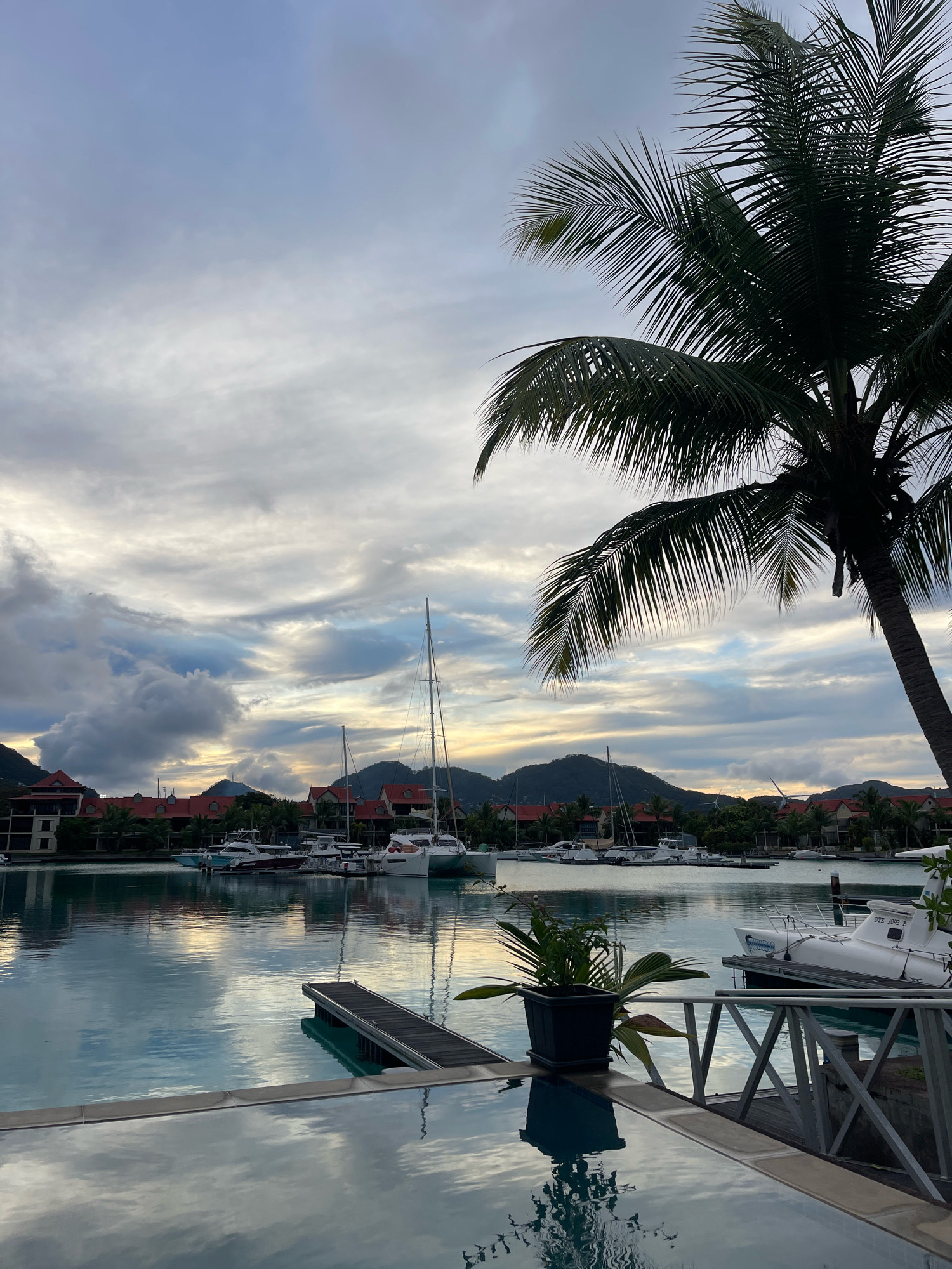 A serene marina scene unfolds at dusk in Providence, Seychelles, captured from the edge of a swimming pool. The foreground features the shimmering surface of the pool, reflecting the overcast sky and the surrounding environment. A dark, rectangular planter box with a lush green plant sits on a wooden dock that extends into the water.
Beyond the pool, the calm waters of the marina are dotted with various boats, including sailboats and motorboats, docked along a waterfront. The buildings on the opposite shore are characterized by their red-tiled roofs and Mediterranean-style architecture, interspersed with palm trees. In the distance, lush green hills rise, their forms softened by the twilight haze. A large palm tree with dark green fronds dominates the right side of the frame, its silhouette stark against the muted tones of the sky. The overall atmosphere is tranquil and picturesque, hinting at a luxurious resort setting.