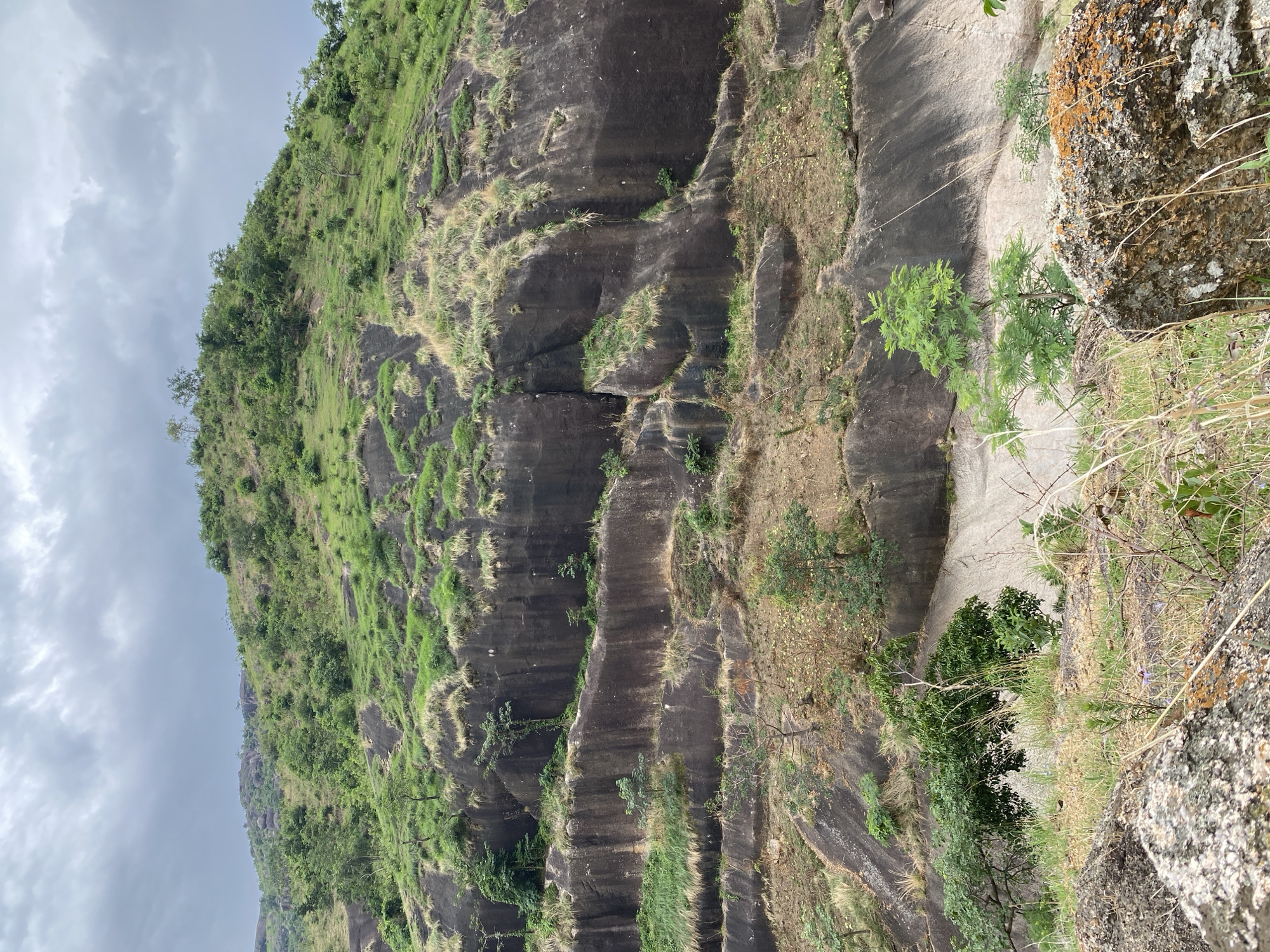 The image shows a steep, rocky hillside in Ganawuri, Nigeria. The hillside is covered in patches of green vegetation, including grass, shrubs, and trees. The rock face is dark grey and has several vertical grooves or ridges. The sky is overcast. A large boulder covered with lichen and dry grass is visible on the right side of the image.