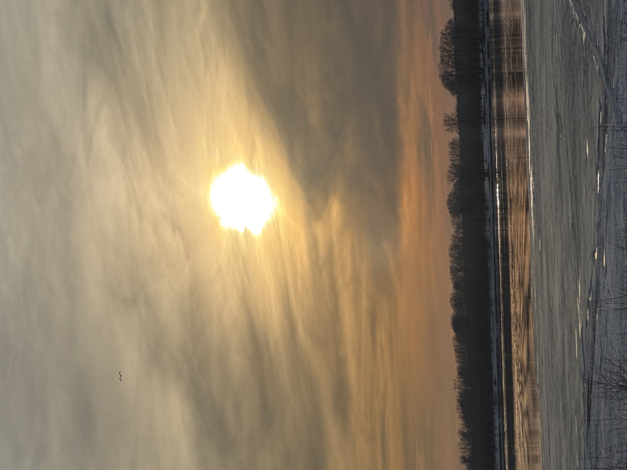 The image depicts a winter or early spring scene of the Kama River in Chaikovsky, Russia, at either sunrise or sunset. The sky is largely overcast with diffuse, warm-toned clouds ranging from pale orange and yellow near the horizon to greyish-white overhead. A bright, white-yellow sun is visible approximately in the upper-center, partially obscured by clouds, casting a strong glare. A small, dark, M-shaped silhouette of a bird in flight is visible in the upper-left quadrant.
Below the sky, the midground features the wide expanse of the partially frozen Kama River. The foreground section of the river is covered with flat, irregular sheets of grey-white ice, some with patches of open water reflecting muted light. Further back, a strip of open water runs horizontally, reflecting the warm tones of the sky in ripples and streaks of orange and yellow. Beyond this open water, a dense, dark line of leafless deciduous trees forms the distant bank of the river, appearing as a silhouetted forest against the lighter horizon. The immediate foreground shows small, dark, bare plant branches emerging from a patchy snow or ice-covered ground. No human figures or man-made structures are prominently visible.