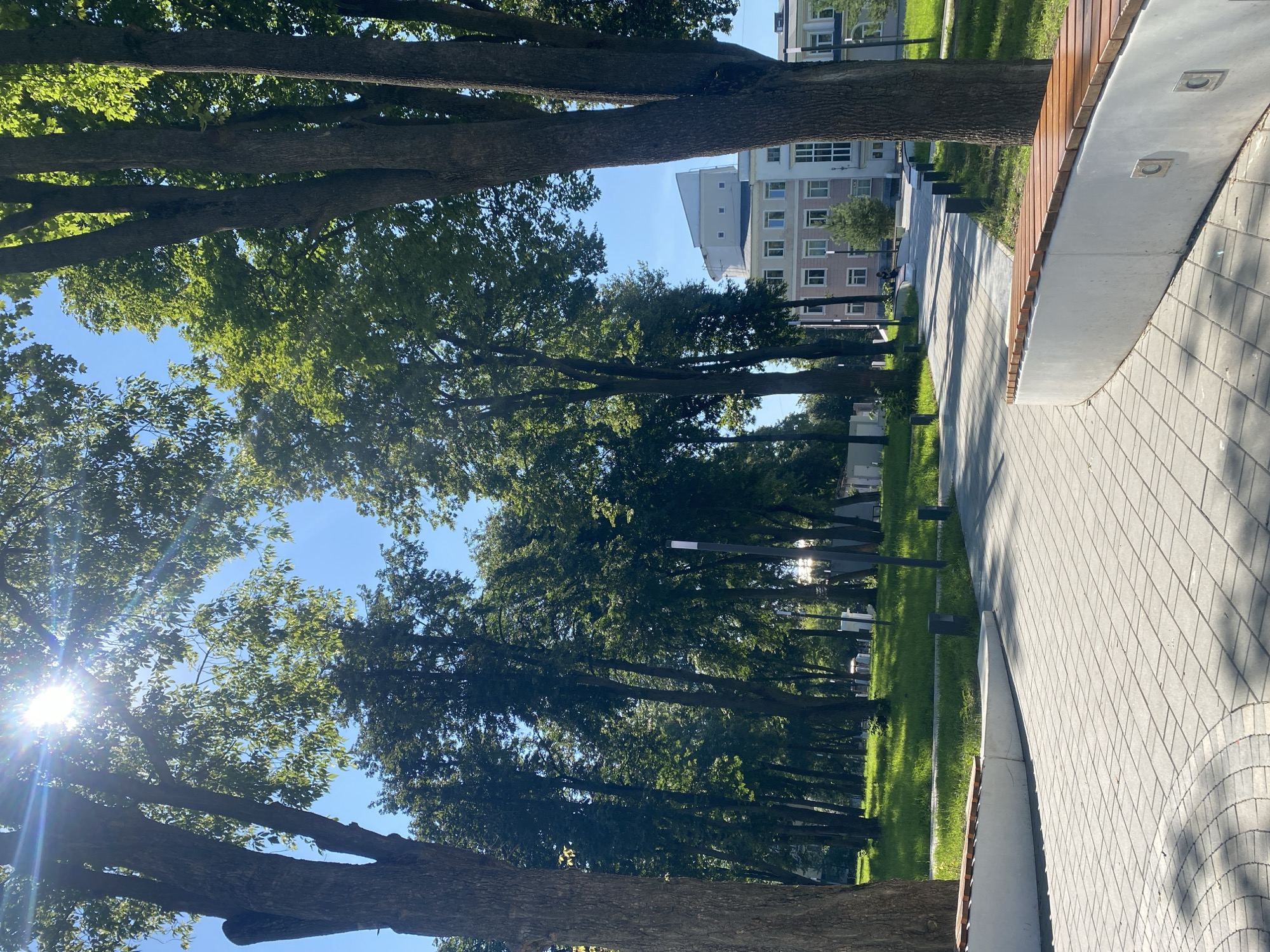 The image depicts a park in Novomoskovsk, Russia, on a sunny day. A paved walkway, made of interlocking concrete pavers, curves through the park, bordered by manicured grass. On either side of the walkway are modern, white benches with wooden slats. Tall trees with lush green foliage line the walkway, casting dappled shadows. In the background, a multi-story building with light-colored walls and numerous windows is visible. The sky is clear and blue. The sun is bright, with lens flare visible through the leaves of the trees. No people are clearly visible in the image.
