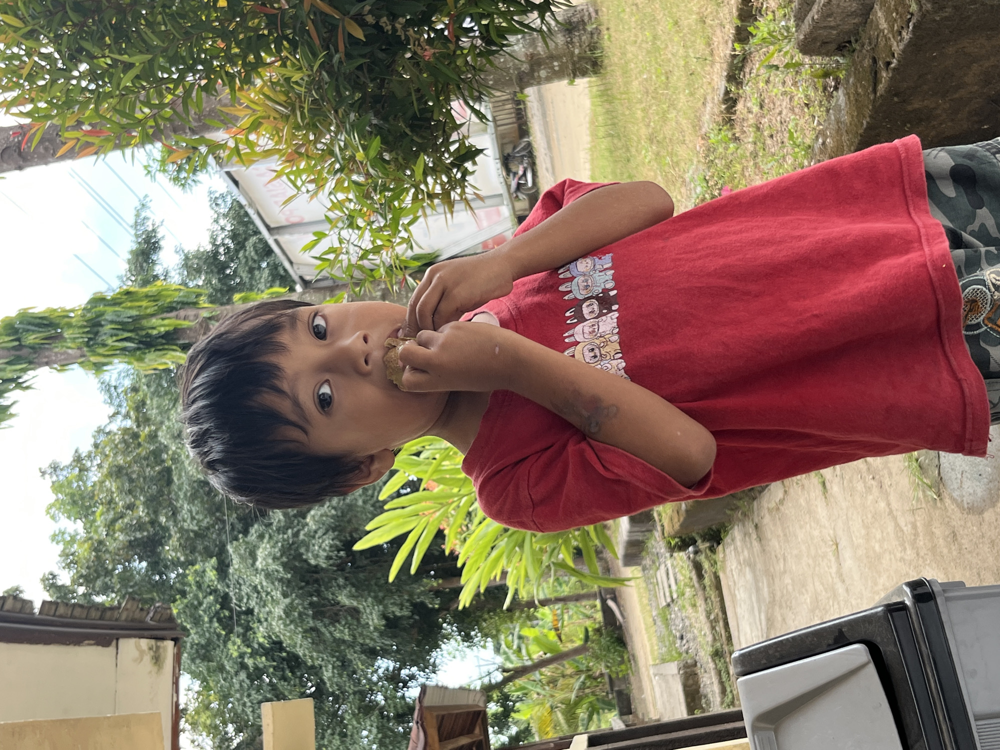 A young boy, likely of Asian descent and appearing to be between 5-7 years old, is captured in a medium shot outdoors. He is wearing a red t-shirt with a graphic print of cartoon animals and camouflage shorts. The boy is holding a light-colored object, possibly food, up to his mouth with both hands, actively eating. He has dark, short hair and dark eyes, and is looking directly at the camera.
The background suggests a tropical or semi-tropical environment. Lush green trees and foliage are visible, with a prominent tall tree with yellowing leaves to the left of the boy, and a tree with red-tinged leaves to the right. There are also signs of human habitation, including a structure with a brown roof and a white wall behind the boy. A paved walkway or path is visible in the foreground, with some concrete structures and overgrown grass. To the lower left of the frame, part of a dark grey and white trash can is visible.
The lighting indicates it is daytime, with bright, overcast conditions. The scene appears to be a residential or semi-rural area. Without specific landmarks, pinpointing the exact location within Kecamatan Pujut, Indonesia, is not possible from the image alone. However, the vegetation and architectural style are consistent with such a region.