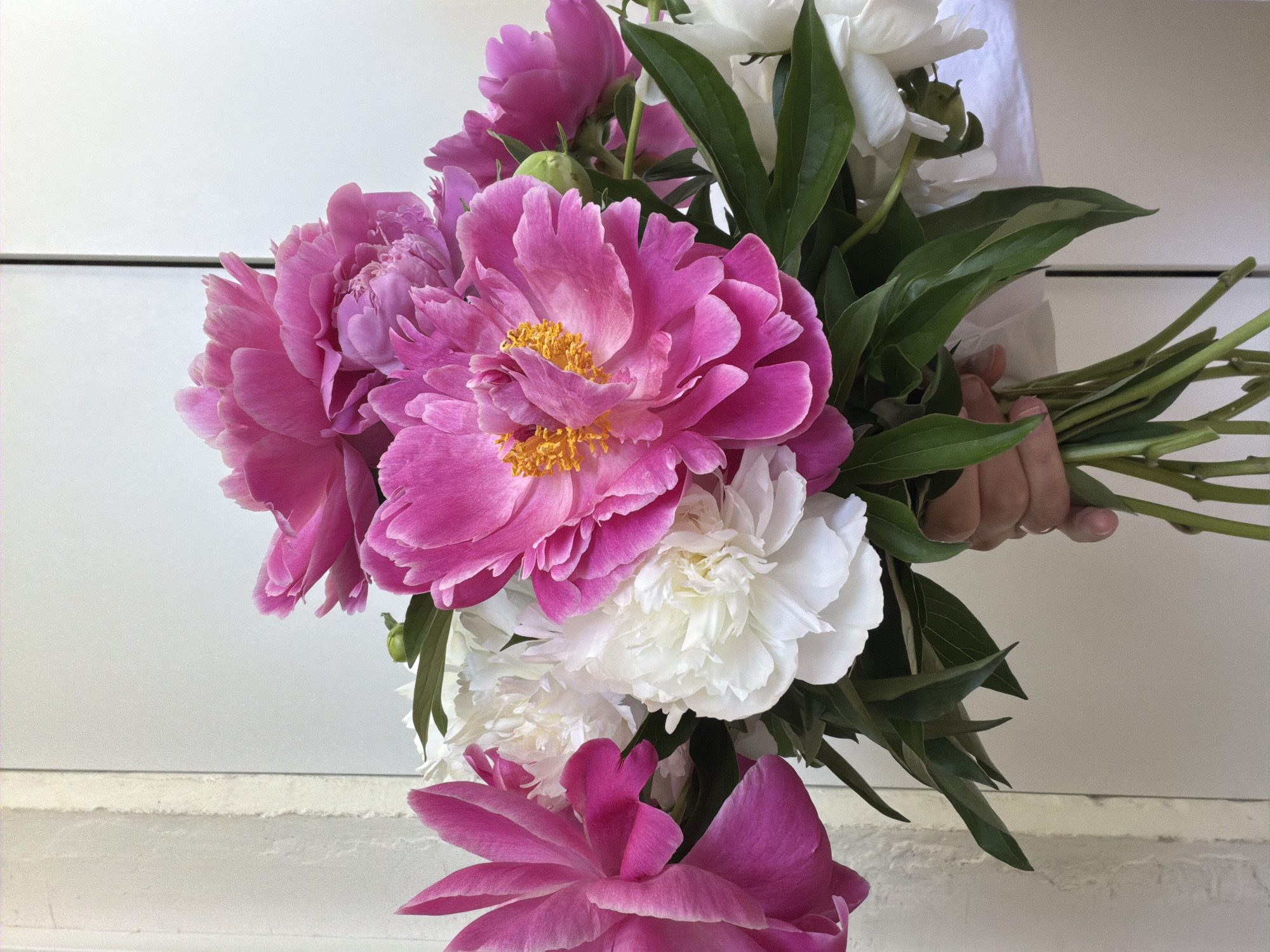 A person's hand holds a bouquet of peonies. The bouquet contains pink and white peonies, with green leaves and stems. The background is a light-colored, textured wall with a vertical black line suggesting a door frame or partition. The image appears to be taken indoors. There is no visible information to suggest the location is the city of Chaikovsky, Russia.