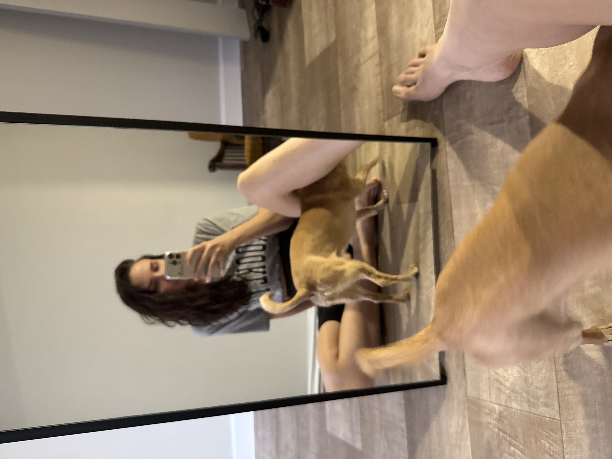 A person is reflected in a full-length mirror while taking a selfie with a smartphone. A tan-colored dog is standing between the person and the mirror, partially obscuring the reflection. The person has long, dark curly hair and is wearing a gray T-shirt and black shorts. The setting appears to be an indoor space with light-colored wooden flooring. No information suggests that this image was taken in Chaikovsky, Russia.