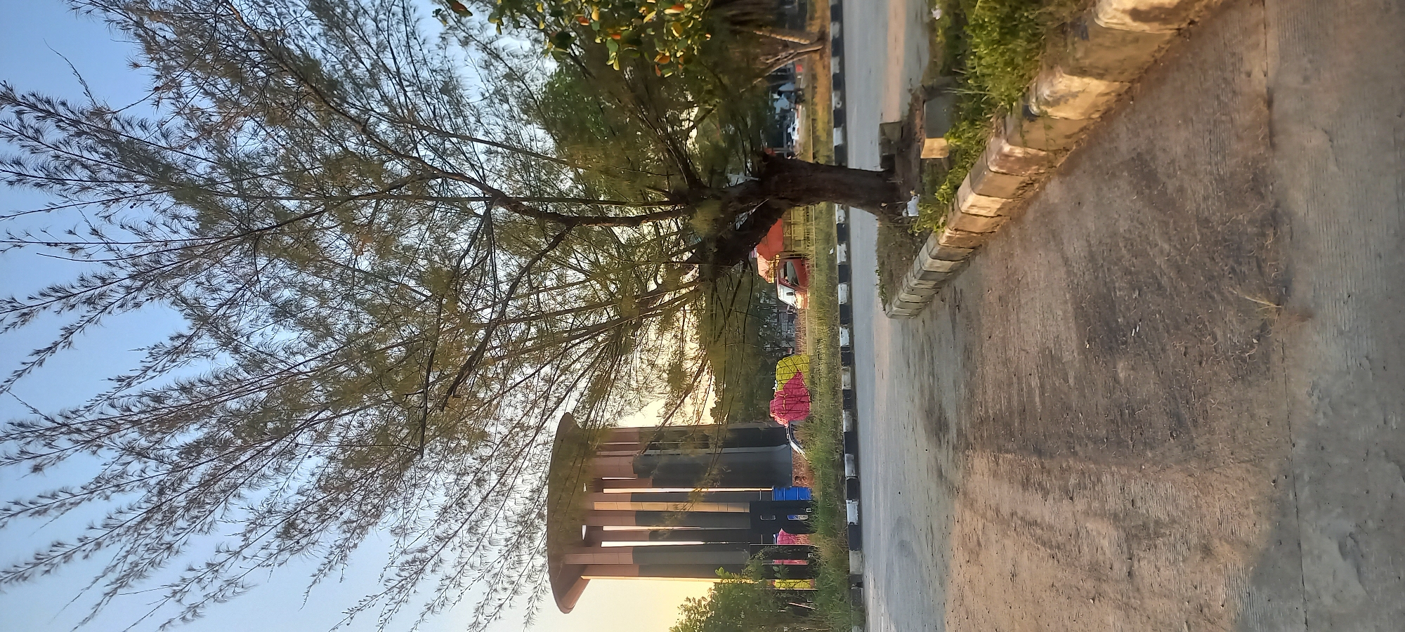 A vertical, low-angle photograph captures a scene under a clear, pale blue sky, likely in Timbau, Indonesia, during what appears to be early morning or late afternoon due to the soft lighting. The foreground is dominated by a paved area with a slight curve to the right, transitioning into a dirt path. A concrete curb with alternating black and white sections lines the right edge of the path, separating it from a patch of green grass and a few scattered objects.
The middle ground features a prominent, mature tree with sparse, feathery foliage that extends upwards and to the right, its branches silhouetted against the sky. Behind the tree, to the left, stands a cylindrical, modern-looking structure with vertical columns. It is dark in color with lighter colored accents near the top. In front of this structure, and extending towards the right, are various objects including what appear to be stacked, brightly colored fabric bundles (pink and yellow), and several vehicles, including a small red truck with an orange tarp.
Further into the background, more trees and some structures are visible, hinting at a park-like setting or an area with some commercial or public facilities. The overall impression is one of an outdoor public space, possibly near a coastal area given the type of trees and the open sky. No people are clearly visible.