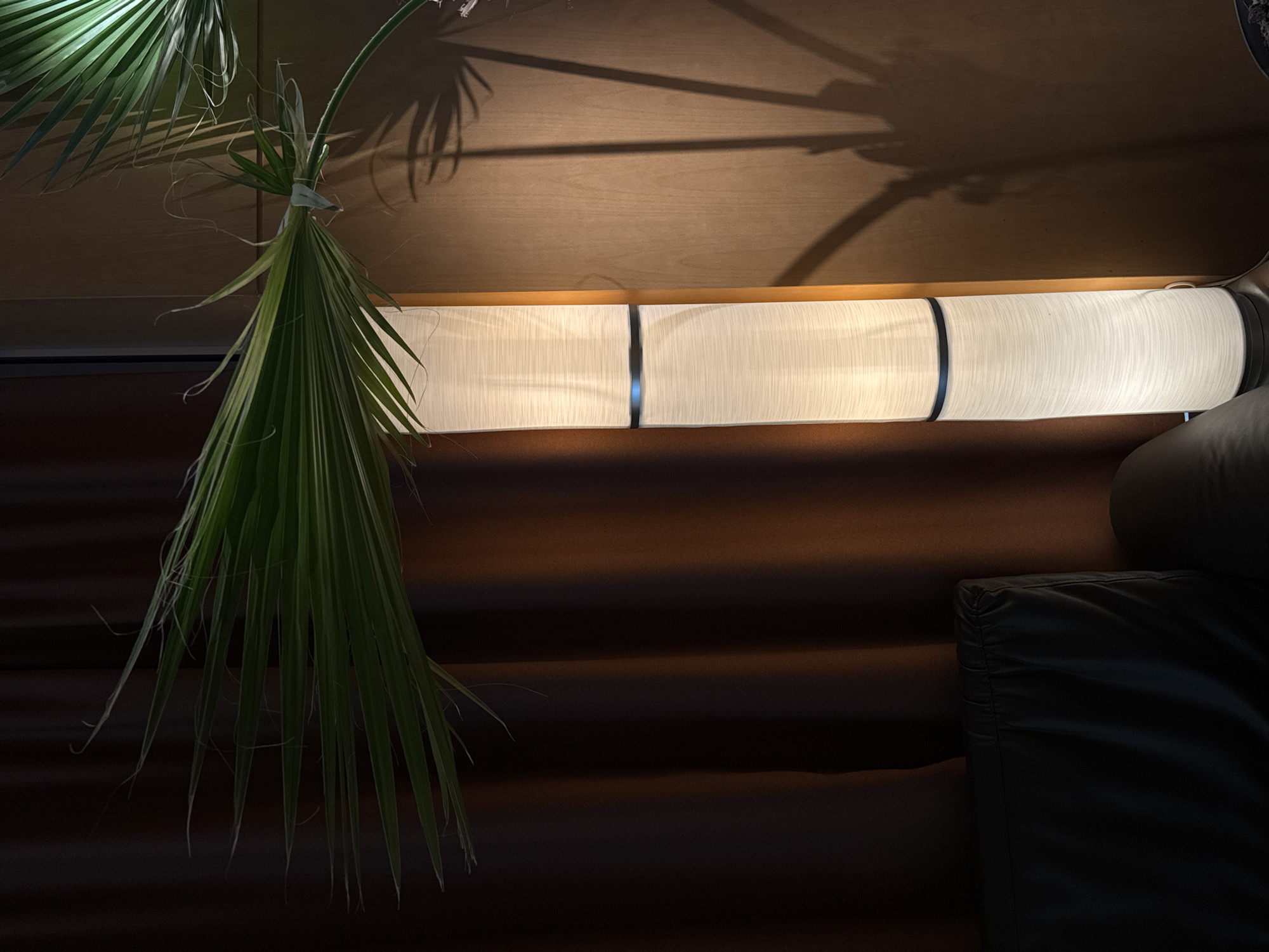 This media file captures an indoor scene, likely in Yerevan, Armenia, characterized by warm artificial lighting and prominent shadows. The main subject on the left is a lush green plant, resembling palm fronds, with numerous long, slender leaves. These leaves appear to be tied together near their base.
Horizontally positioned across the mid-section of the image is a distinctive light fixture. It is cylindrical and covered in a light-colored, textured fabric, giving off a soft, diffused glow. The fixture is divided into several segments by two dark, vertical bands.
Above the light fixture, a smooth, light-brown wooden panel is visible, serving as a backdrop against which the plant's intricate shadows are cast, creating a dynamic interplay of light and shade. Below the light fixture, a dark, possibly upholstered or padded surface with subtle horizontal ridges extends across the frame. On the far right, part of a dark, presumably leather, sofa cushion or armrest is discernible.
The scene conveys a calm and atmospheric ambiance, possibly suggesting evening or nighttime due to the artificial illumination. There is no human activity or event taking place. No visible text is present in the image.
