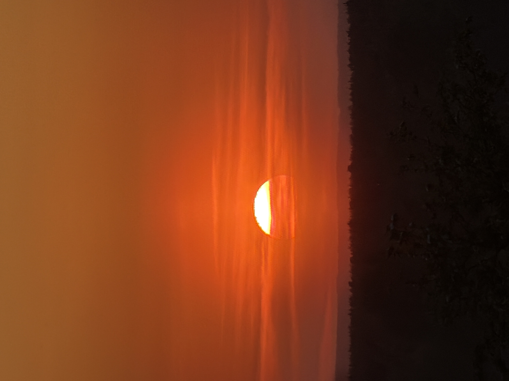 A vertical, eye-level, outdoor shot depicts a semi-obscured sun setting near Chaikovsky, Russia. The sun, partially visible, radiates a bright orange-yellow hue, obscured on the left-hand side. Vertical rays of diffused light emanate from the sun. The left side of the scene is dominated by a hazy orange-brown sky. The right side shows a dark, possibly wooded area with tree branches visible in silhouette.