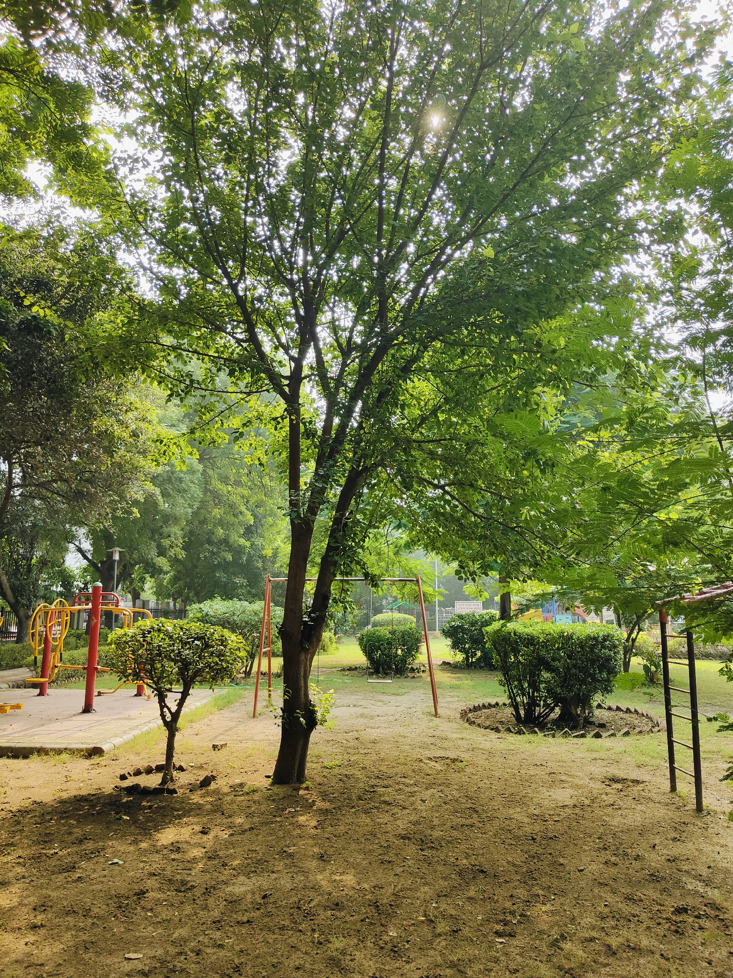 The image depicts an outdoor park scene, possibly in Gurgaon, India, characterized by lush green trees and playground equipment. In the foreground, a dirt path leads into a grassy area, with a young tree to the left, encircled by rocks. Further back, a red and yellow playground structure is visible. Two swing sets with red frames are positioned in the middle ground. Dense green bushes are scattered throughout the park, and in the background, more trees and foliage create a verdant backdrop. The sunlight filters through the leaves of a large tree in the center of the frame, creating dappled light on the ground. The overall atmosphere is peaceful and natural, suggesting a recreational space for outdoor activities.