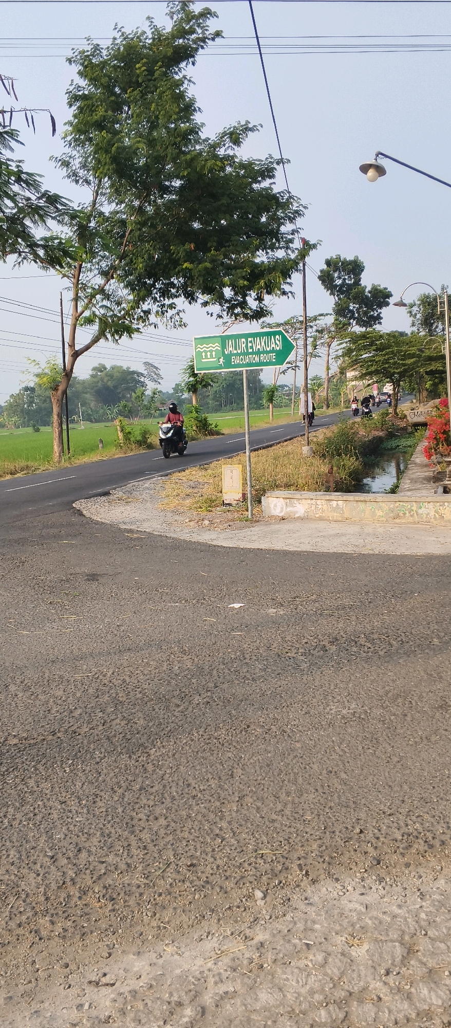 In Japanan, Indonesia, a paved road curves to the left, bordered by a grassy embankment and a narrow canal. Overhead, power lines stretch across a pale sky. A green directional sign points right, indicating "JALUR EVAKUASI EVACUATION ROUTE" with pictograms of waves and a person. A person on a dark scooter rides away from the camera on the right side of the road. Further down the road, several other scooters and motorcycles are visible, some carrying passengers. The landscape is rural, with green rice fields and scattered trees. The road surface is asphalt, showing signs of wear, and the embankment is covered in dry grass and sparse vegetation. The canal is filled with murky water and bordered by a concrete structure. The lighting suggests it is daytime, with the sun casting soft shadows.