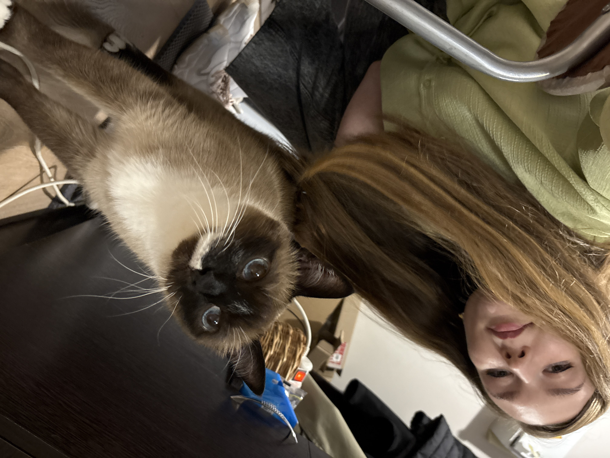 A woman and a Siamese cat pose for a selfie. The woman is wearing a light green top and has light brown hair with blonde highlights. The cat is looking into the camera with blue eyes and has brown and white fur. The background is cluttered with various objects, including a desk, chair, and some boxes. The location appears to be indoors and there is no information to suggest that the photo was taken in Izhevsk, Russia.