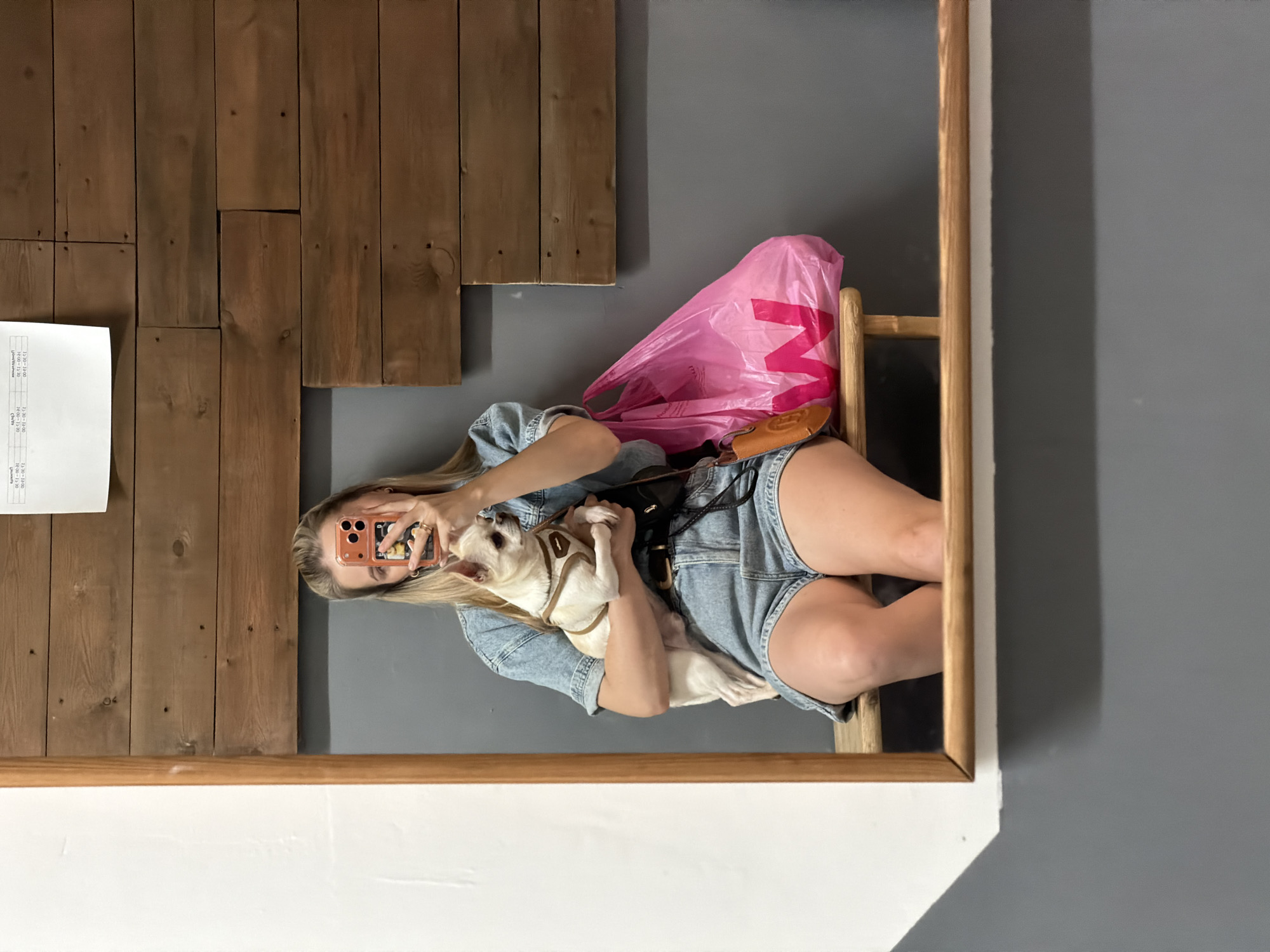 In an indoor setting, a young woman with blonde hair tied back is reflected in a large mirror. She is holding a small, light-colored dog in her arms. She is wearing a denim jumpsuit and shorts, and a brown belt. To her right, a pink plastic shopping bag with a large 'W' logo is visible. The background consists of a grey wall and wooden planks. A wooden shelf is positioned below the woman and the dog. The scene appears to be a casual or waiting area. The specific location in Semiluki, Russia is not discernible from the visual information provided.