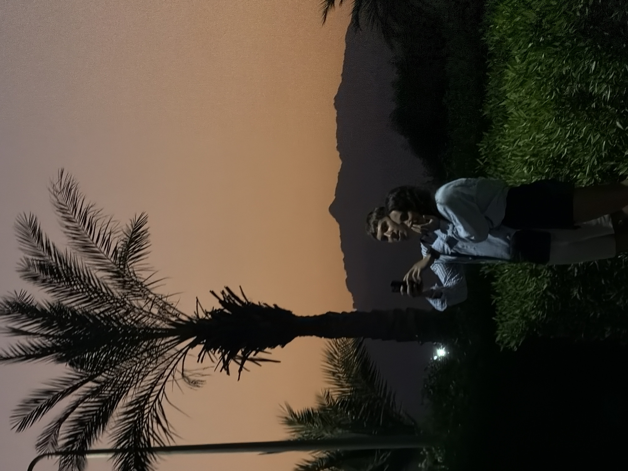 The image depicts a dusk scene in Sharm El Sheikh, Egypt, with a prominent palm tree silhouetted against a hazy orange sky. In the foreground, a young man and woman are standing amongst lush green foliage. The man, on the left, is holding up a smartphone, seemingly taking a picture or video. He is wearing a light blue, striped long-sleeved shirt and white shorts. The woman, to his right, is looking towards the phone with her hand near her face, possibly posing or reacting to what is being captured. She is wearing a light blue long-sleeved top and a dark skirt. In the background, dark mountains form a silhouette against the horizon. A street lamp can be seen to the left of the palm tree, casting a subtle light. The overall atmosphere is serene and captures a moment of casual interaction during twilight in this Egyptian coastal city.