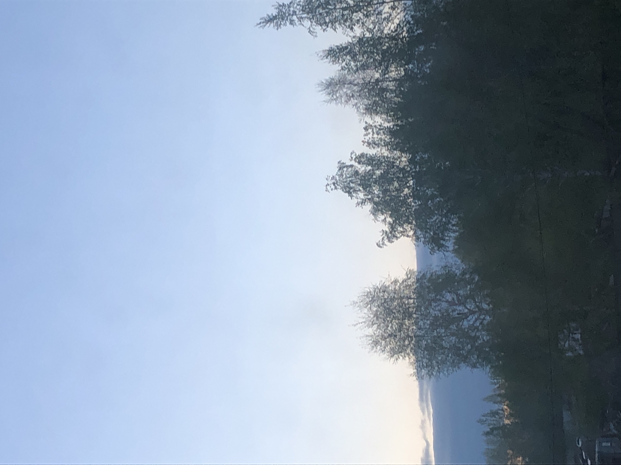 The image shows a sky above trees in Unknown, Unknown. The sky is a pale blue, gradually brightening towards the horizon. Trees occupy the right side of the image, appearing dark and dense with varying shapes and sizes. There seems to be a mountain silhouette visible in the background through the trees.