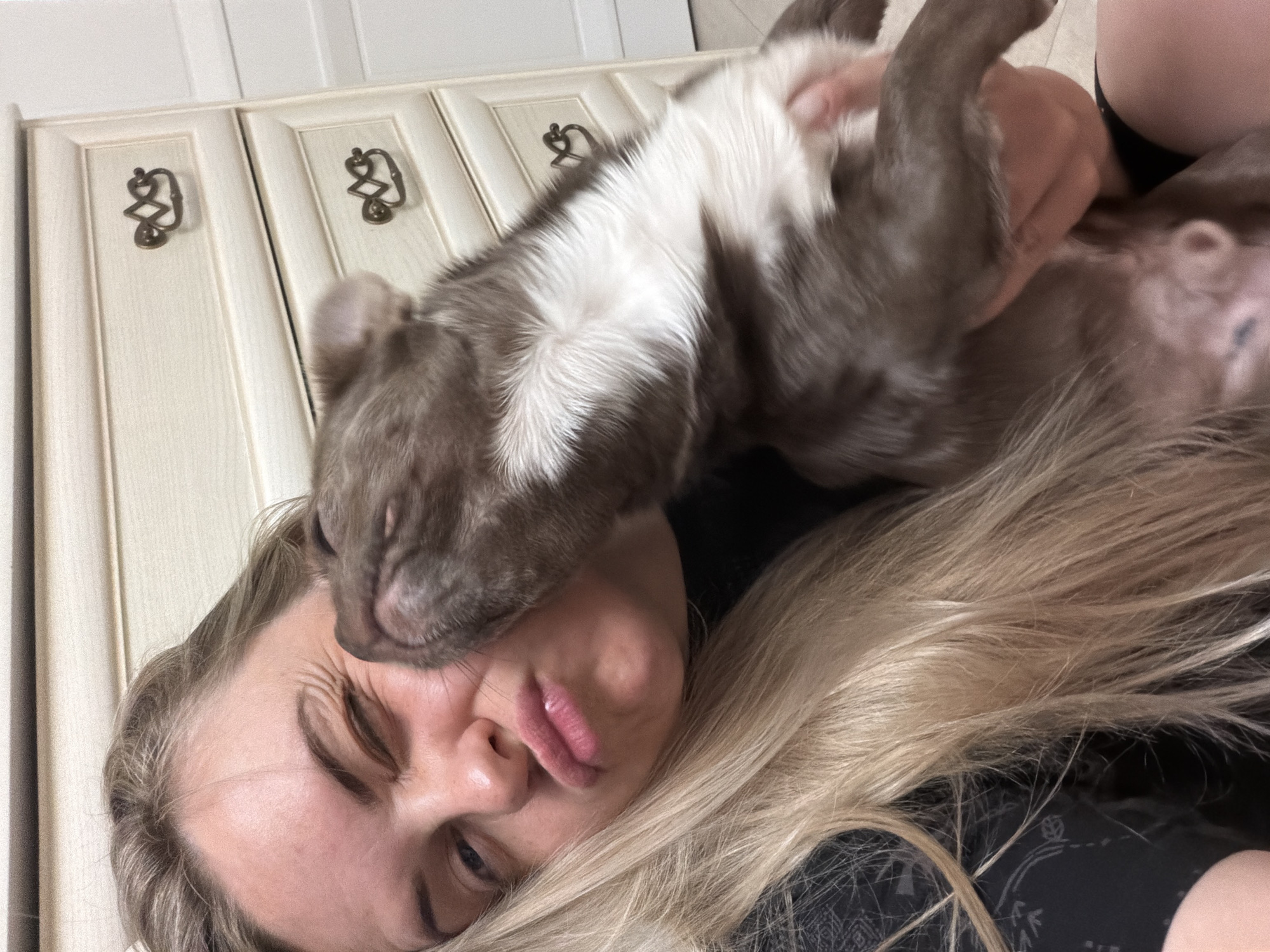 A woman with blonde hair lies on her back, with her face contorted in a humorous expression. A brown and white dog is positioned on top of her, partially obscuring her face. The background features light-colored cabinet doors with ornate, dark metal handles. The image does not provide sufficient information to place the scene in Votkinsk, Russia.
