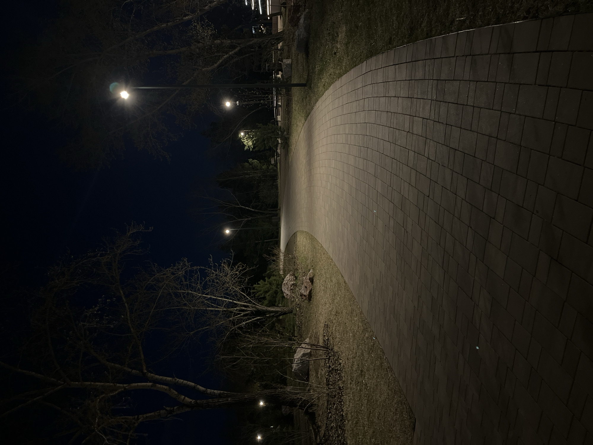 A curving brick-paved walkway is illuminated by overhead streetlights in Unknown. The scene is at night. Bare trees line the left side of the path. Patches of grass and debris are seen on the right. In the distance are more lights and indistinct structures.