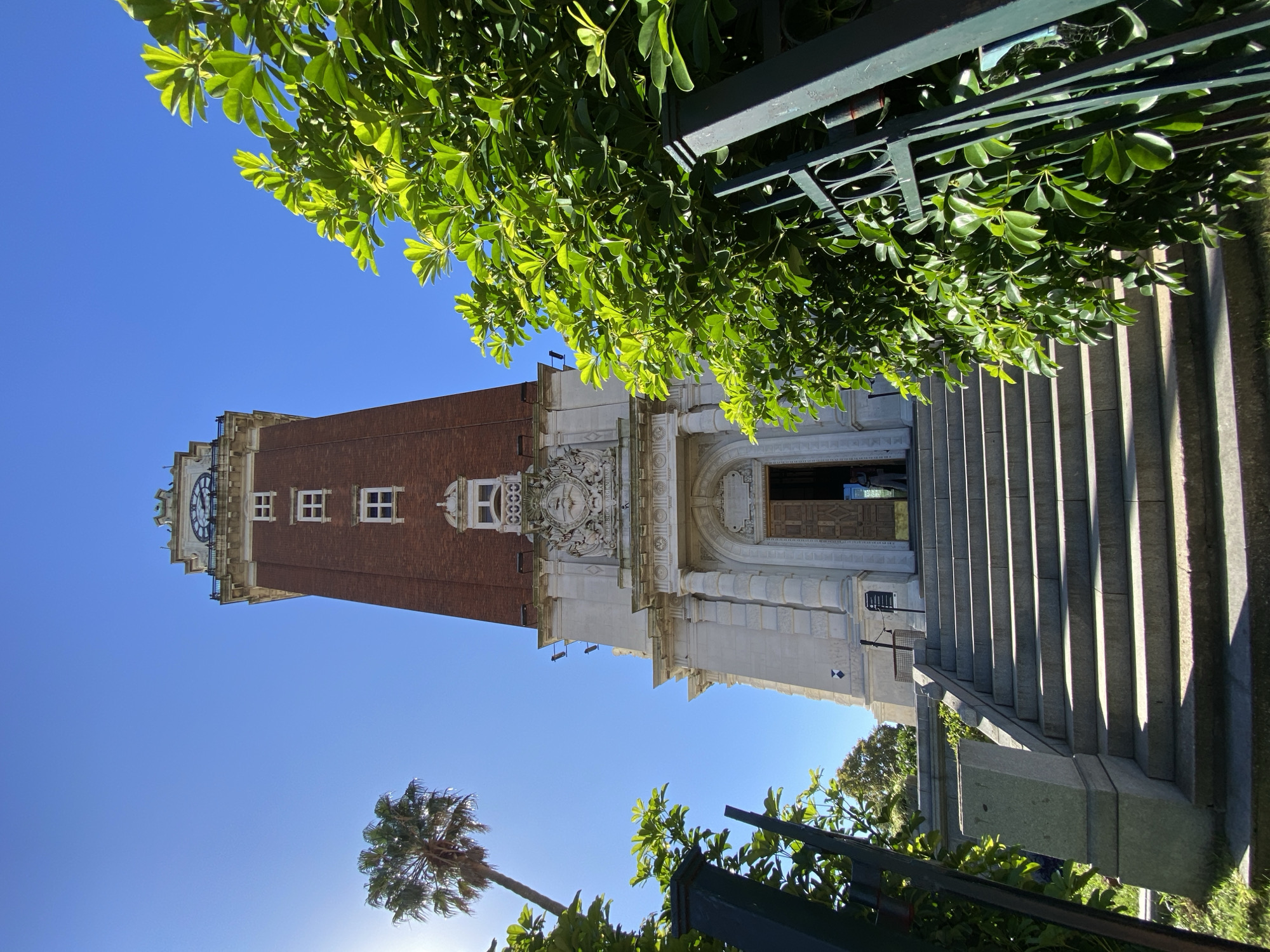 The image displays the majestic Torre Monumental (formerly Torre de los Ingleses) in Buenos Aires, Argentina, under a clear, vibrant blue sky. The tall structure, constructed from red brick, stands prominently, featuring a large clock face near its summit and several white-framed windows along its height. The base of the tower showcases elaborate white stone facade work, including ornate carvings and what appears to be a crest or coat of arms positioned above the main entrance. A grand set of light-colored stone stairs leads up to a dark, recessed wooden door, providing access to the building.
The scene is bathed in bright daylight, evidenced by the sharp shadows cast on the steps and architectural details, indicating clear and sunny weather, likely during the morning or afternoon. Lush green foliage from trees partially frames the top and upper right sections of the image, with some leaves appearing brightly lit and almost translucent due to the sunlight. A solitary palm tree stands against the clear sky in the lower left portion of the frame. A dark metal fence or railing is visible in the foreground on the right side. There are no people visible, and no legible text is present in this static, grand architectural scene.