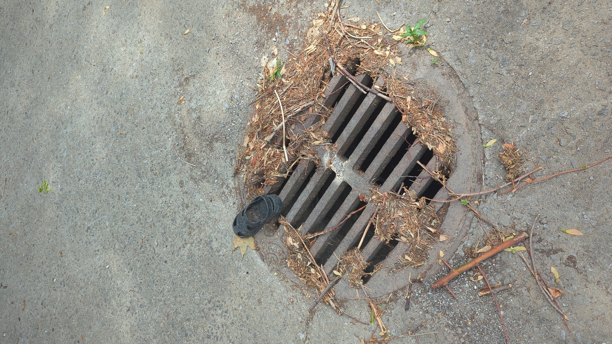 The image shows a close-up, high-angle shot of a storm drain on a paved surface, likely a sidewalk or street. The storm drain grate is partially covered with dry leaves, twigs, and debris. A single black sandal is resting on top of the grate, positioned across two of the metal slats. The surrounding pavement is grey and shows signs of wear, with small stones and some scattered leaves. There is a patch of green vegetation growing near the edge of the drain. The scene appears to be outdoors in an urban environment, and no people are visible.