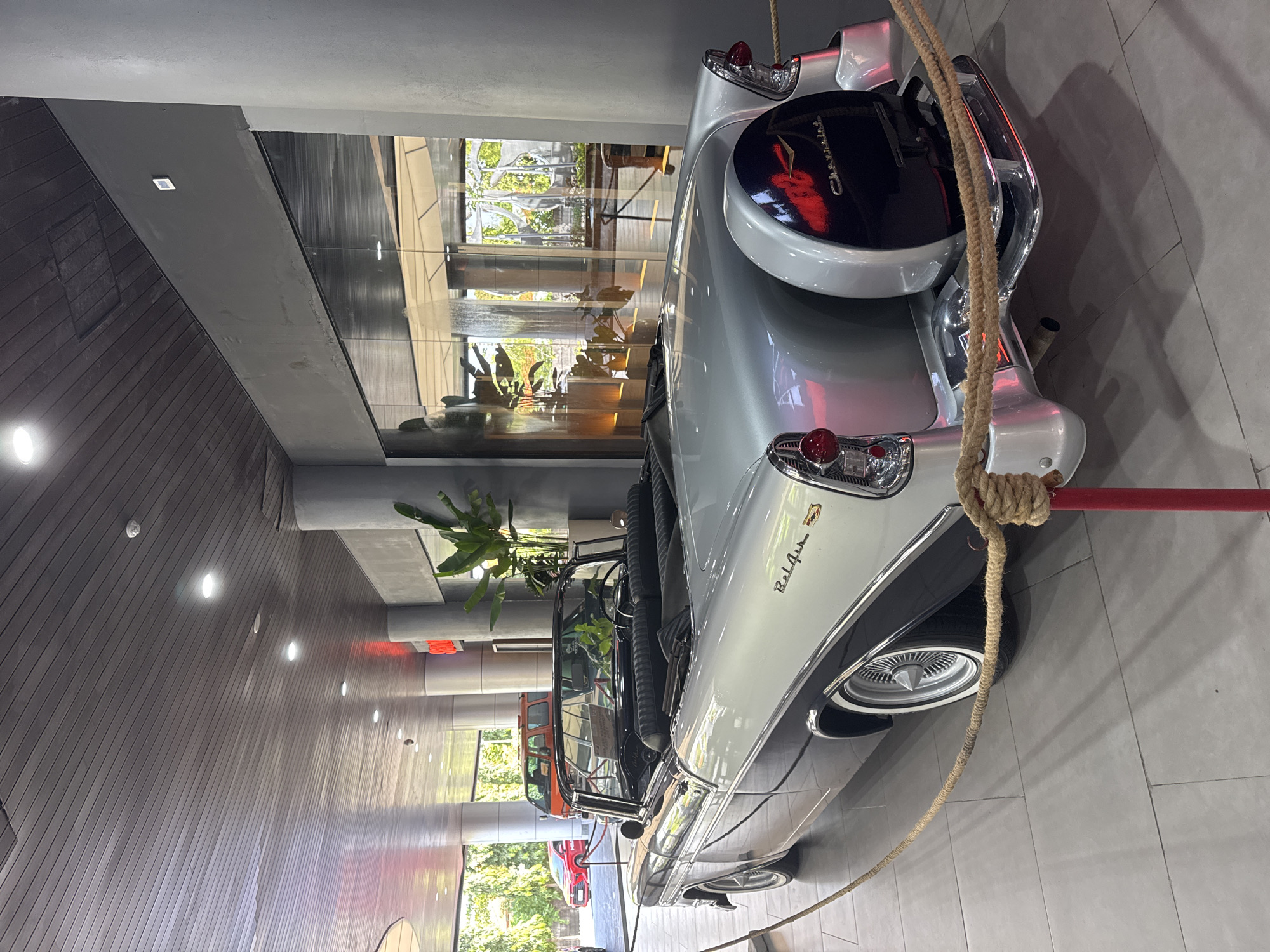 A silver 1957 Chevrolet Bel Air convertible is displayed inside a building in Unknown, Unknown. The car is roped off with a thick, light brown rope attached to a red pole. A plant sits in the reflection of the glass wall behind the car.