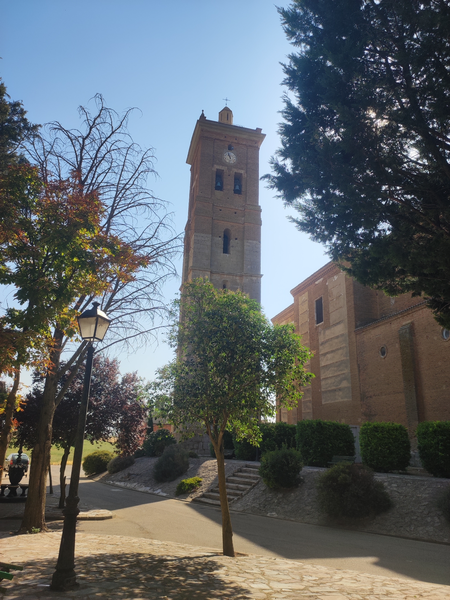In Autillo de Campos, Spain, under a clear blue sky, a tall brick bell tower stands prominently. The tower features arched openings and a clock face displaying the time as approximately 10:45. Below the clock, two bells are visible. The tower is part of a larger brick church building. In the foreground, a paved walkway with a stone pattern is visible, partially shaded by trees. A black lamppost with a square lantern stands on the left side of the walkway. Various trees with green and reddish-brown leaves are scattered throughout the scene, along with manicured green bushes lining a sloped embankment. A paved road curves away from the viewer towards the right, and a set of stone stairs leads up the embankment on the right side of the image. The overall scene depicts a tranquil daytime view of a church and its surrounding grounds.