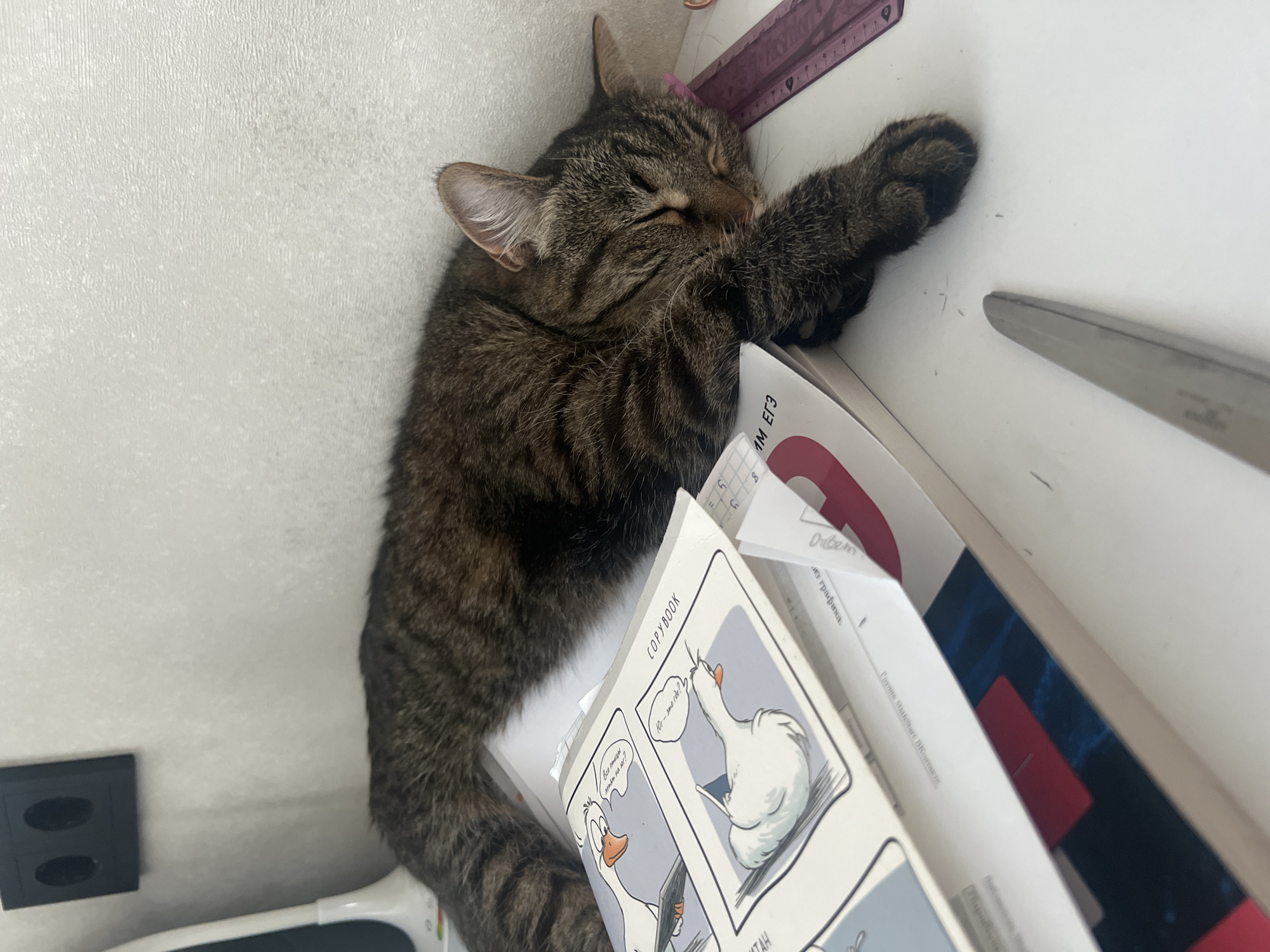 A tabby cat is asleep on top of a pile of books and papers. The cat is lying on its side with its eyes closed and one paw extended. The books appear to be educational materials, including one labeled "COPYBOOK" with a cartoon goose on the cover. Other items visible in the scene include a ruler, scissors, and an electrical outlet. The photo was not taken in Votkinsk, Russia.