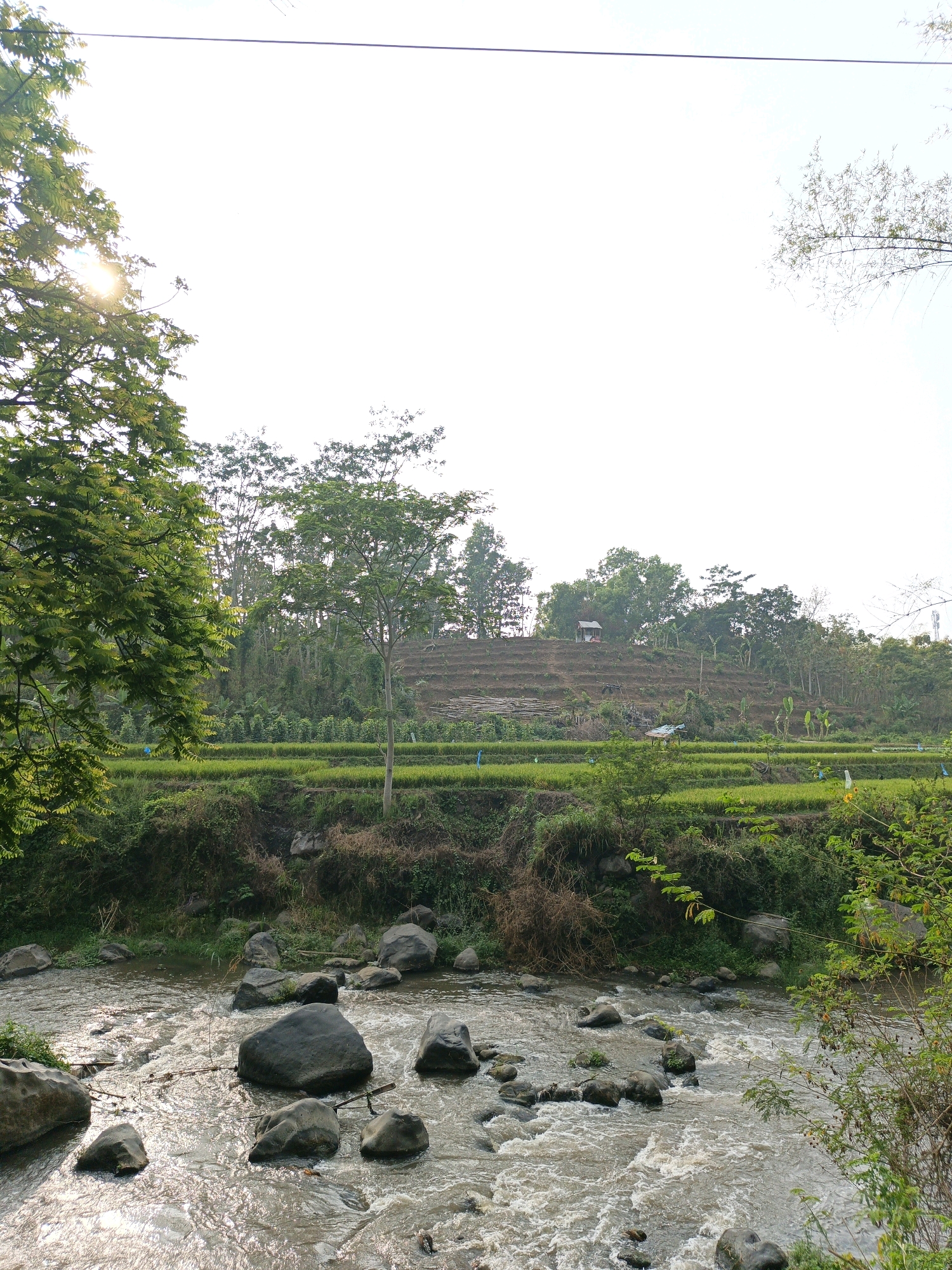 The image depicts a rural scene in Batu, Indonesia. A river with visible rocks flows through the foreground, its surface shimmering with sunlight. On the banks of the river, dense green foliage lines the landscape. Further back, terraced rice paddies stretch across a gentle slope, dotted with small structures. A larger building, possibly a shed or hut, sits atop the hill. The scene is framed by trees on either side, with a bright, overcast sky above. A power line is visible stretching across the top of the frame. There are no people or animals visible in the image.