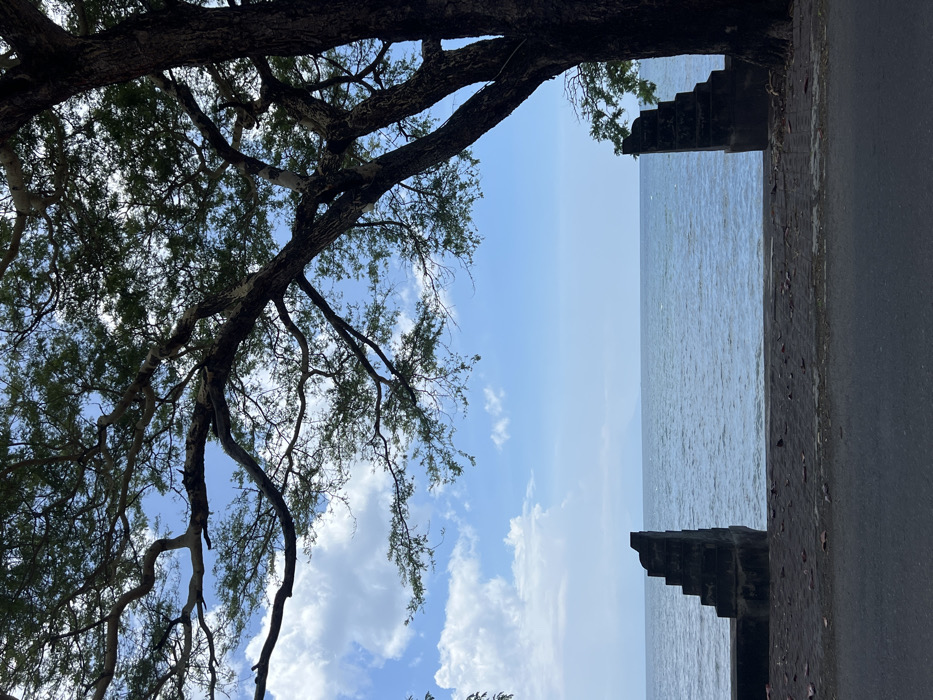 This image depicts a coastal scene in Banyu Poh, Indonesia, observed from a low vantage point. The foreground consists of a dark asphalt or paved surface, transitioning to a dark, uneven strip of ground or volcanic sand directly fronting a large body of water. Two dark, weathered concrete or stone staircases, each consisting of approximately five visible steps, are positioned on the left and right sides of the frame, partially obscured and appearing to descend towards the water. The expansive water body, likely the ocean, dominates the midground, exhibiting a calm, slightly rippled surface under a clear horizon. A faint, hazy landmass is discernible on the distant horizon towards the left. The sky above is light blue with scattered white cumulus clouds. A large, mature tree with a thick, dark trunk is positioned on the right side of the frame, extending numerous branches laden with green foliage across the upper portion of the image, partially obscuring the sky. No individuals, animals, or vehicles are present in the scene.